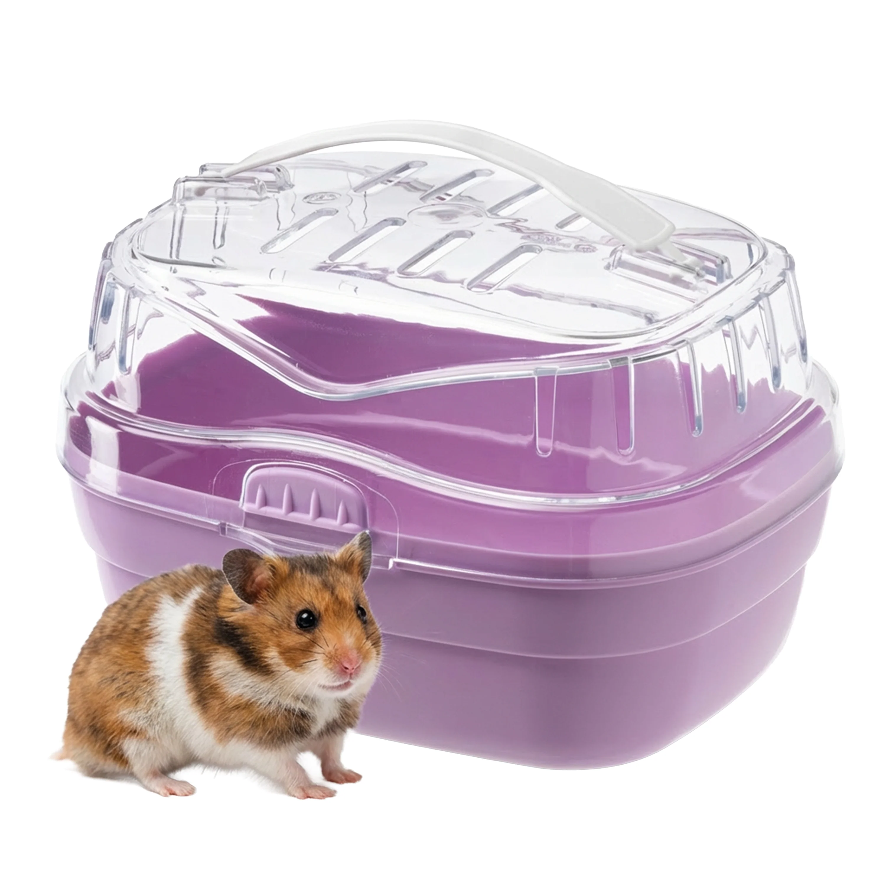 ALADINO SMALL - Image 4