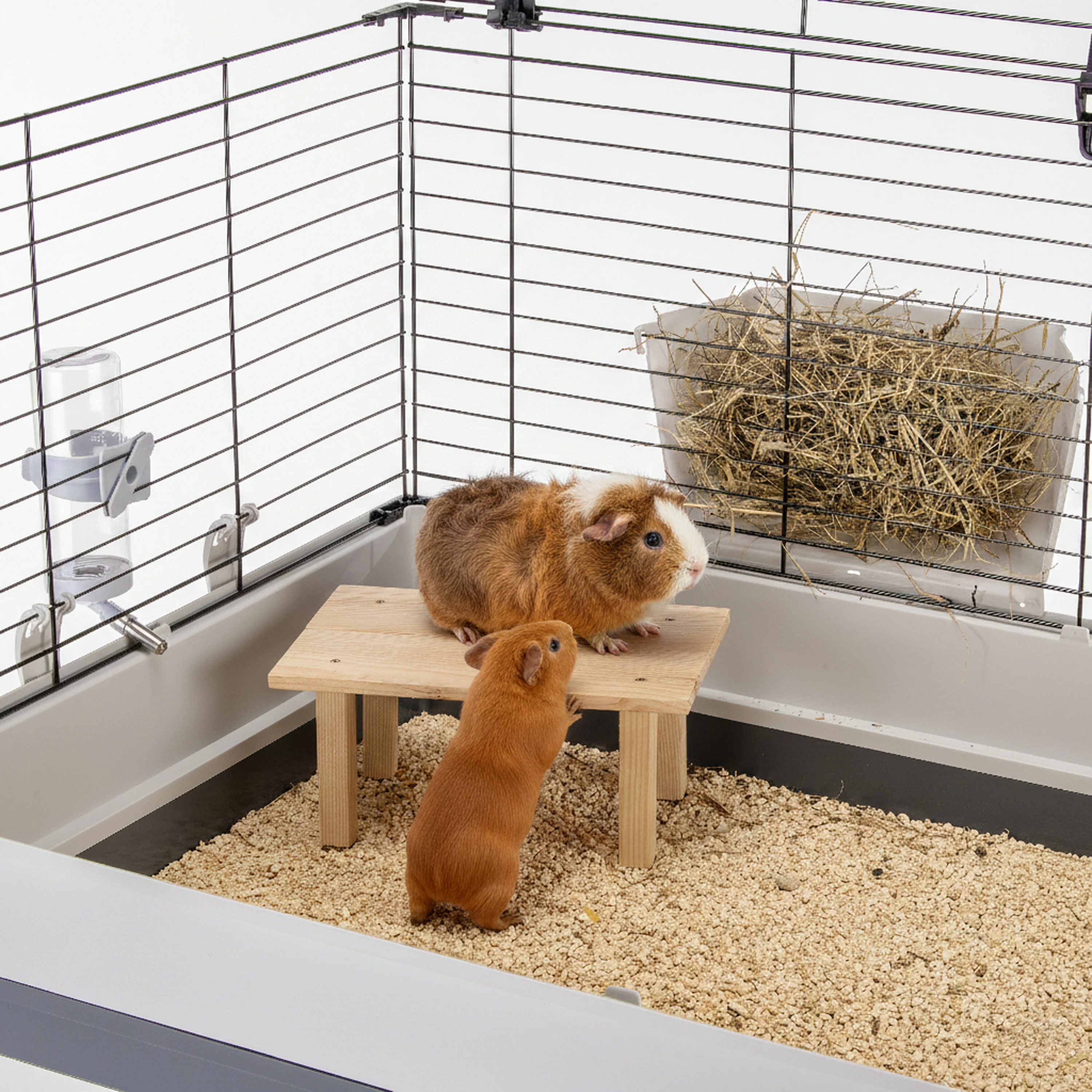ARCADE TABLE Wooden toy for small animals - Image 4