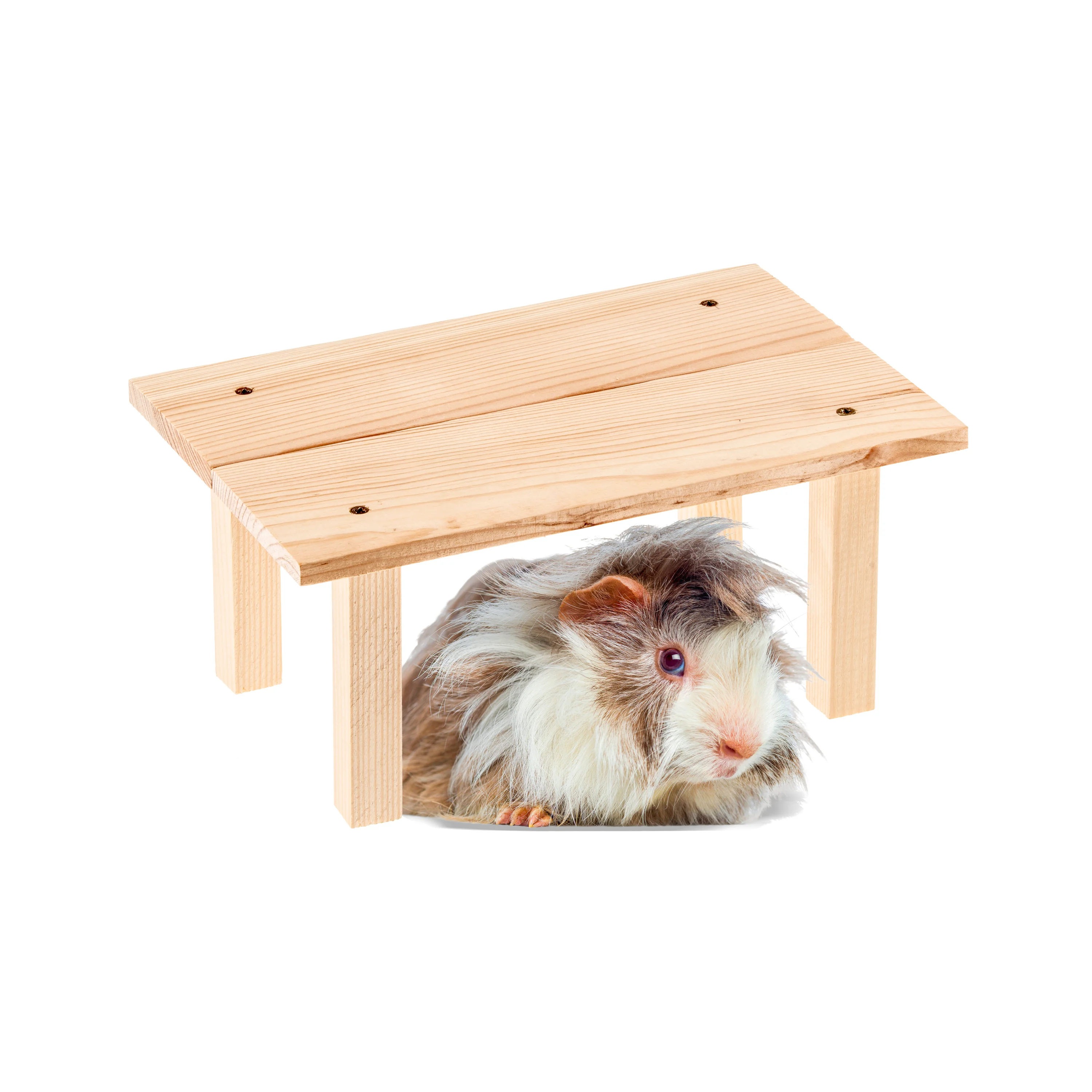 ARCADE TABLE Wooden toy for small animals - Image 5