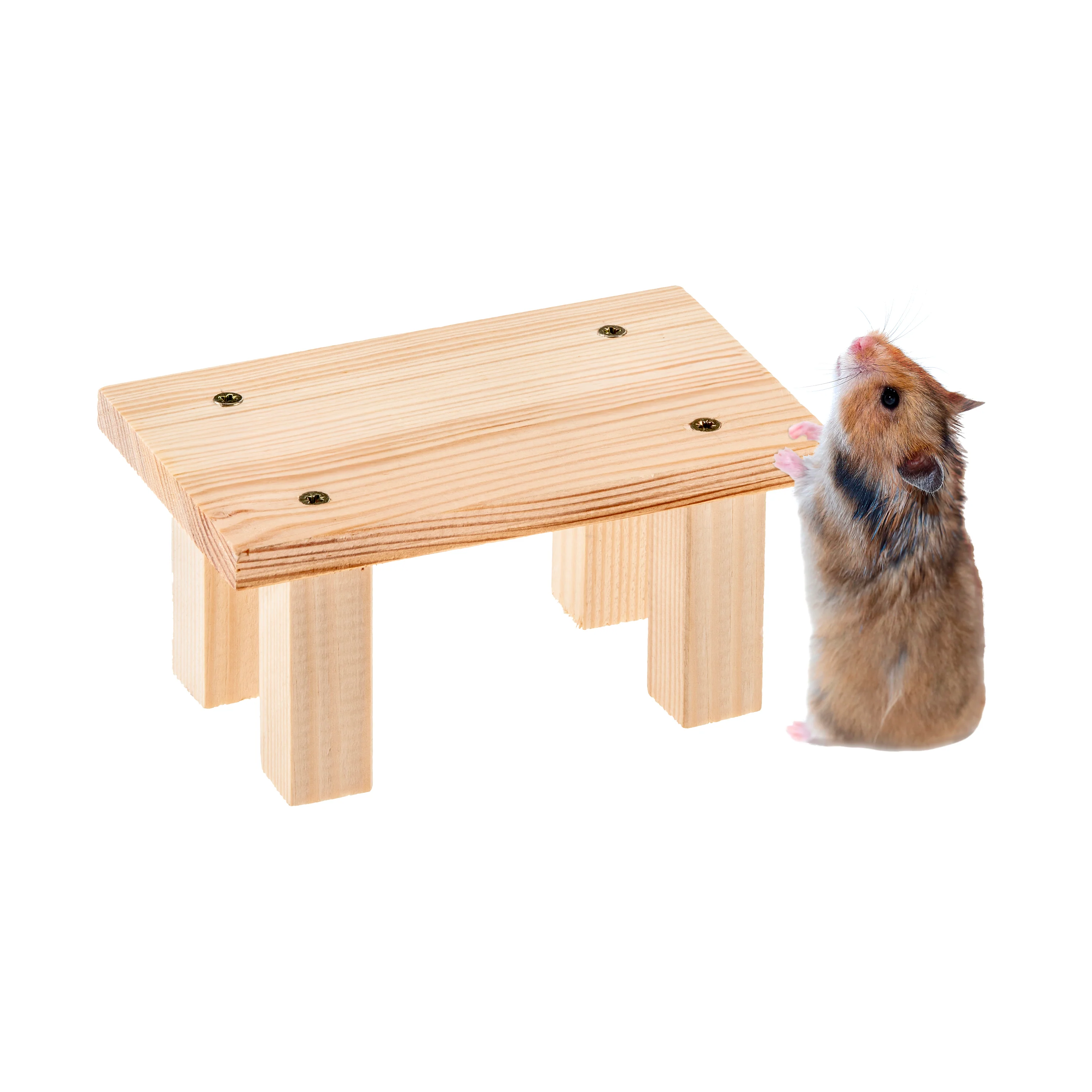 ARCADE TABLE Wooden toy for small animals - Image 5