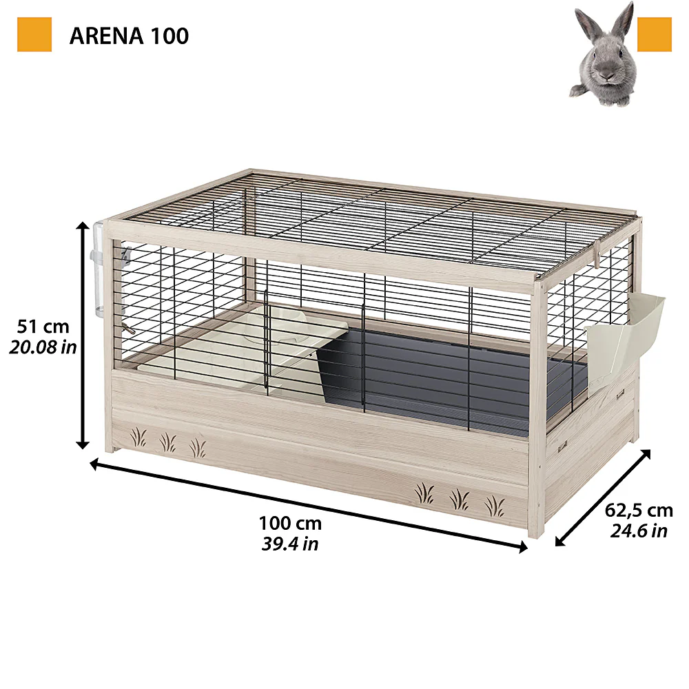 ARENA 100 - Image 2