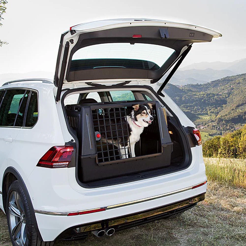 ATLAS CAR SCENIC - Image 15