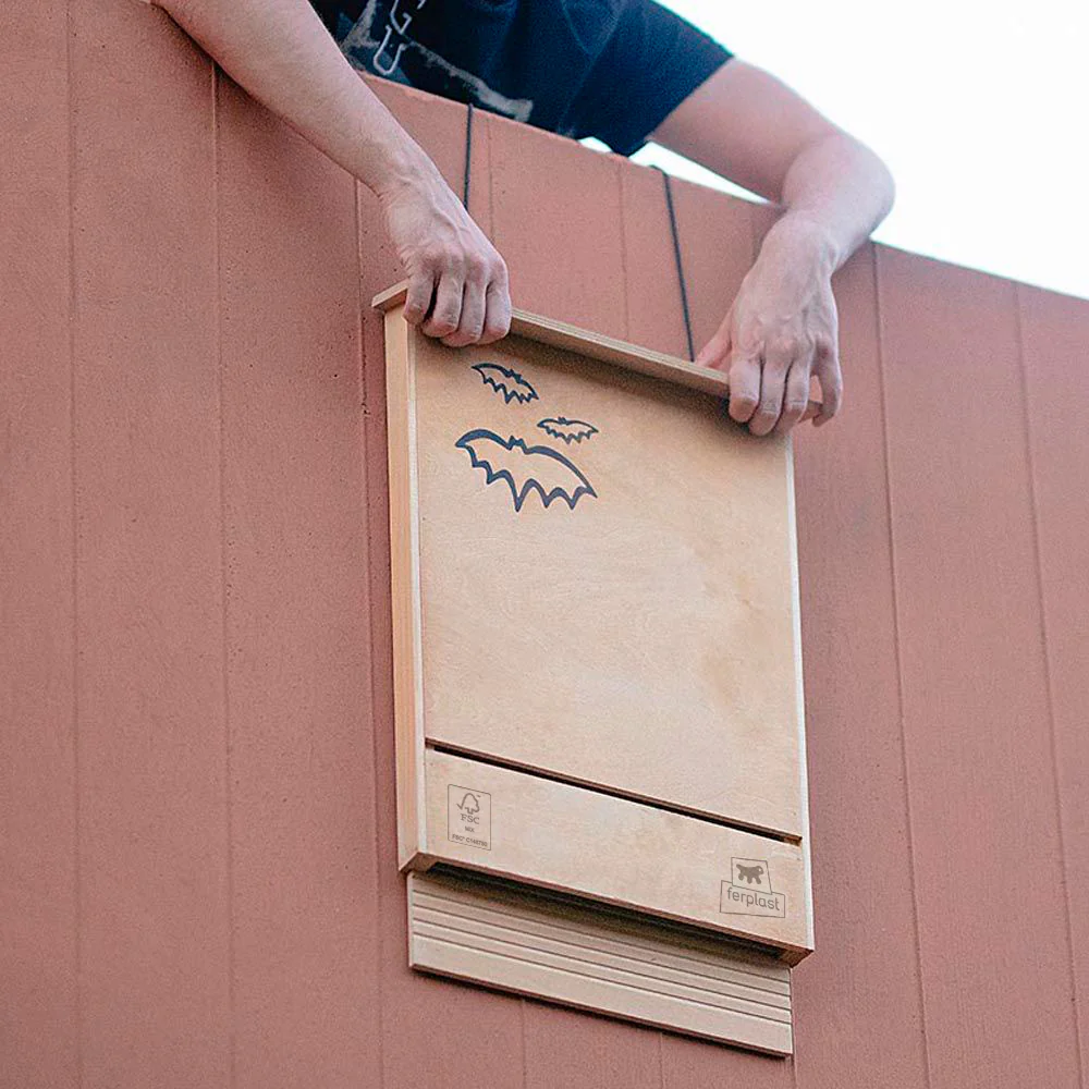 BAT HOUSE - Image 4