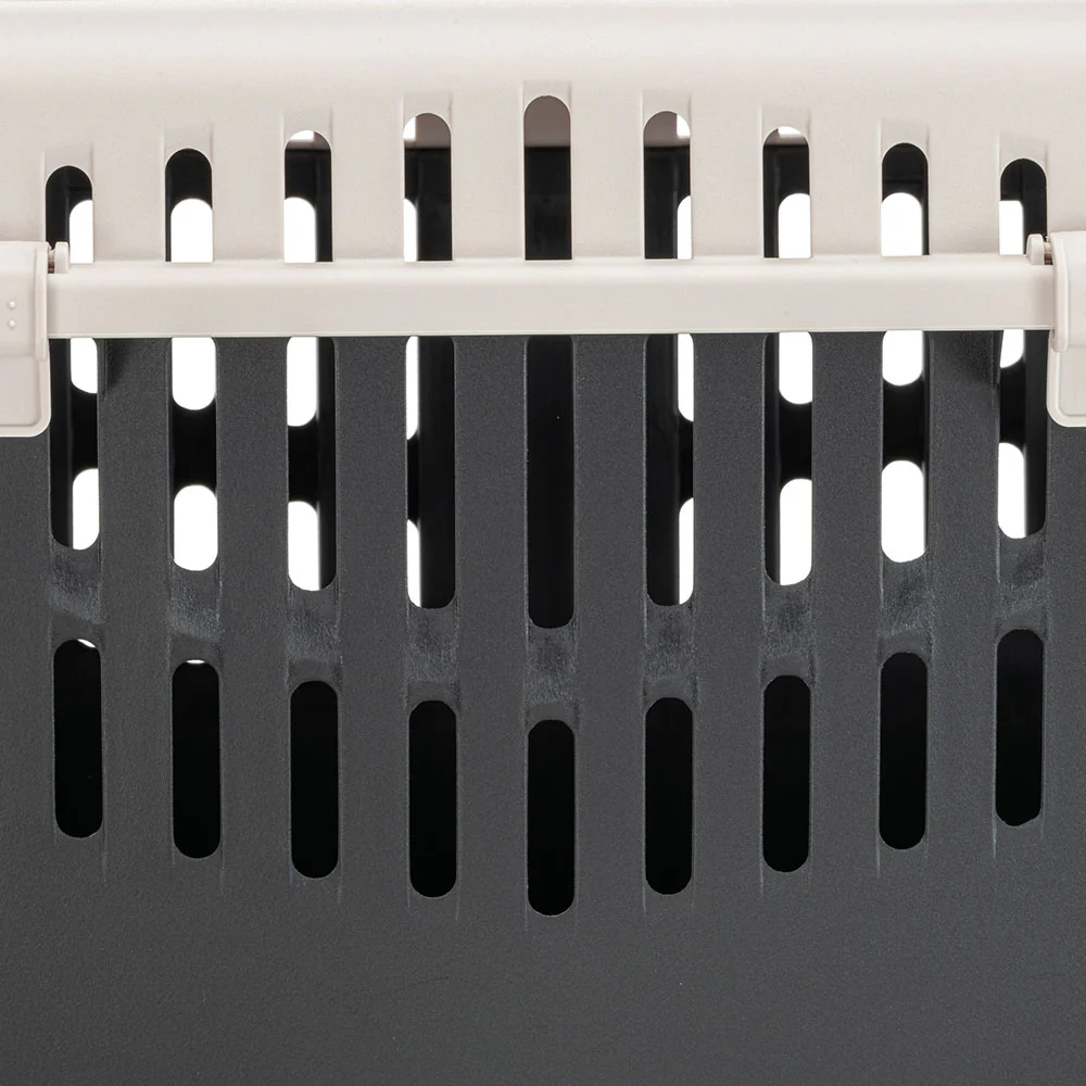 BINNY 2 - Image 4