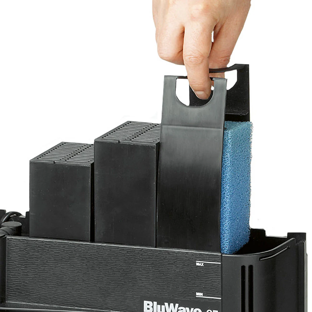 BLUWAVE 07 - Image 5