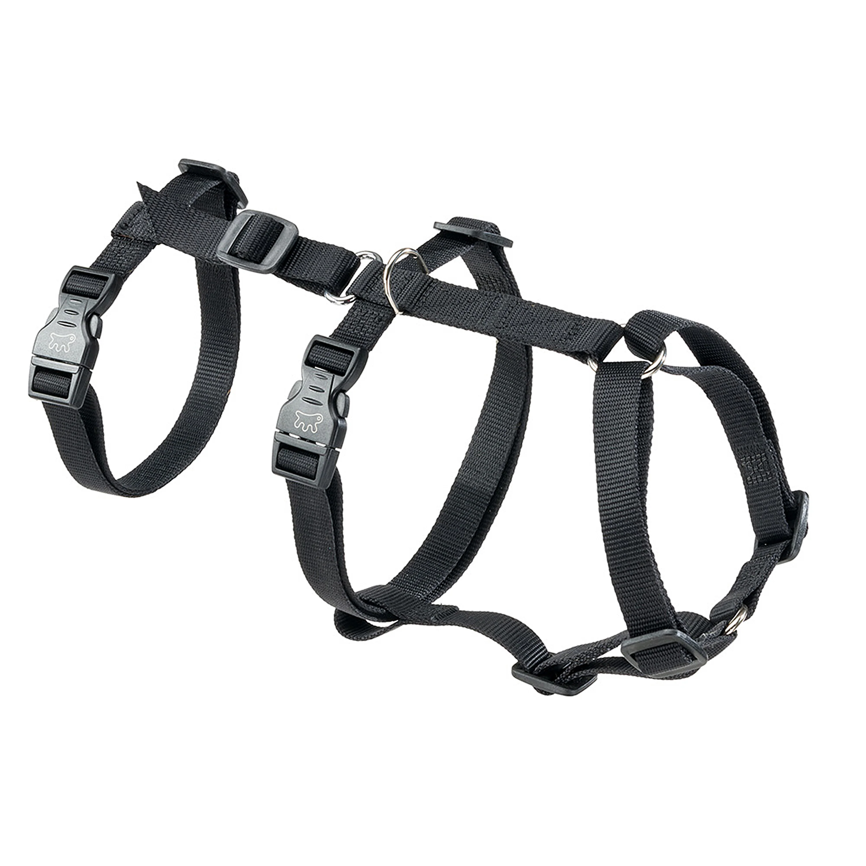 BRAVE - Image 15