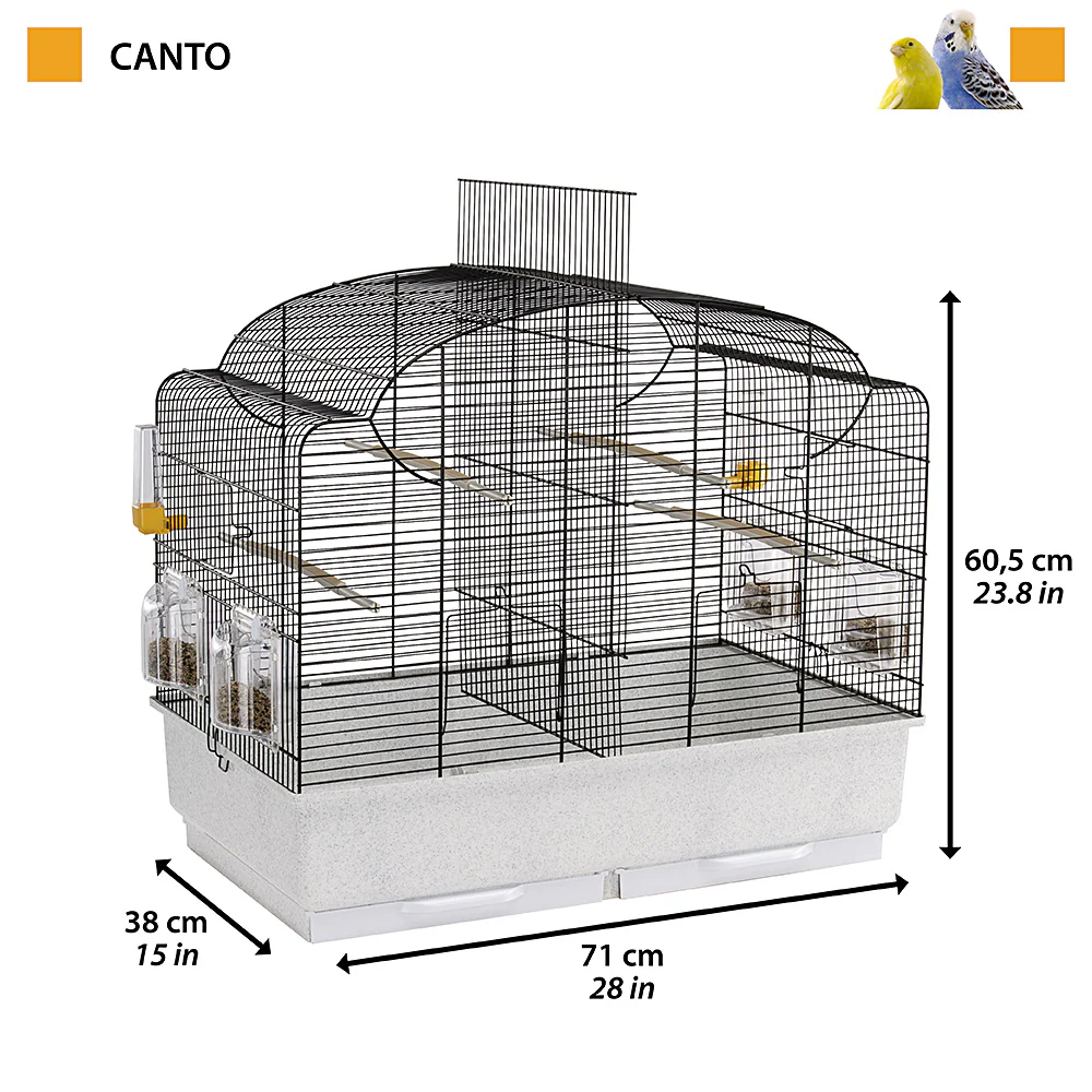 CANTO - Image 2