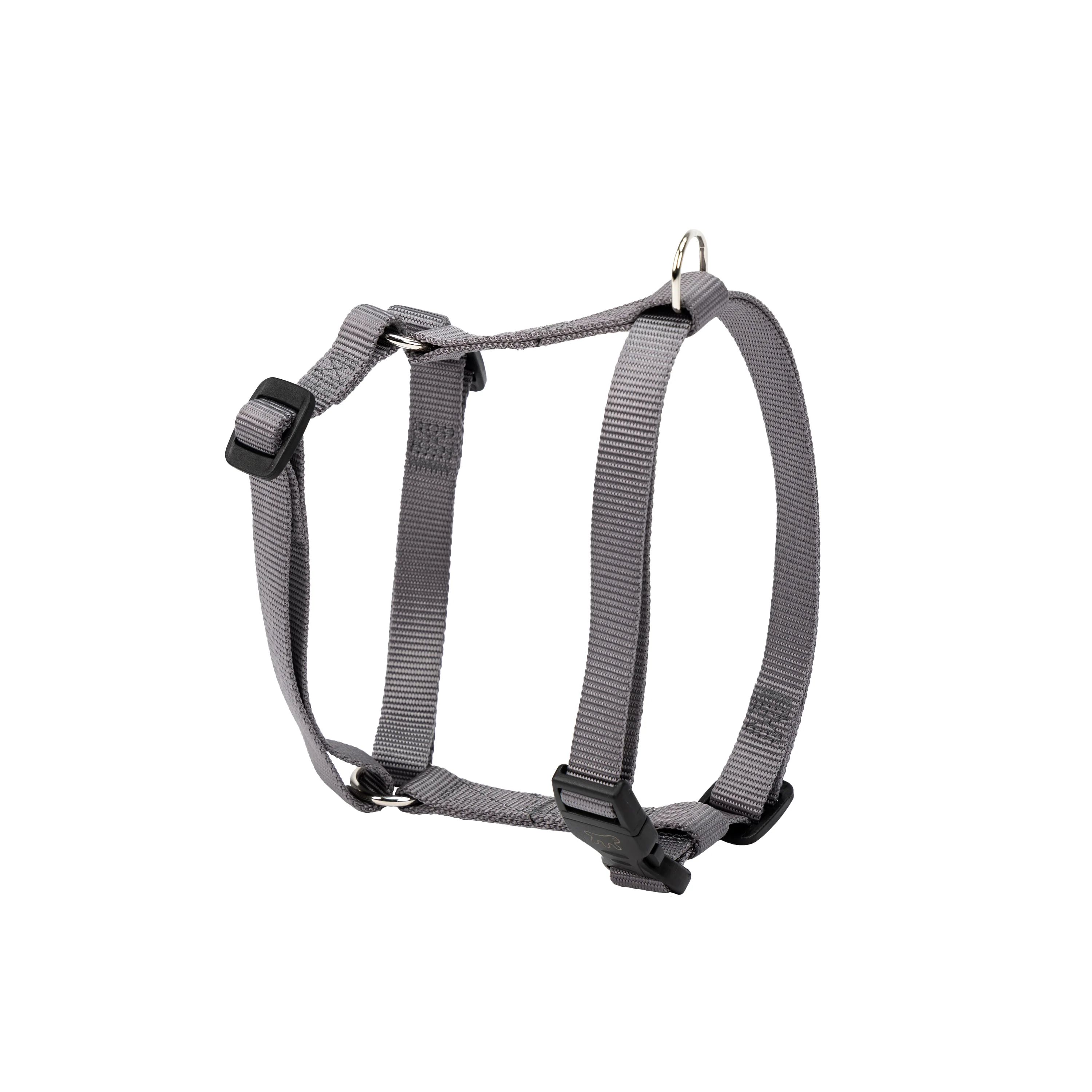 CHAMPION P - Image 13