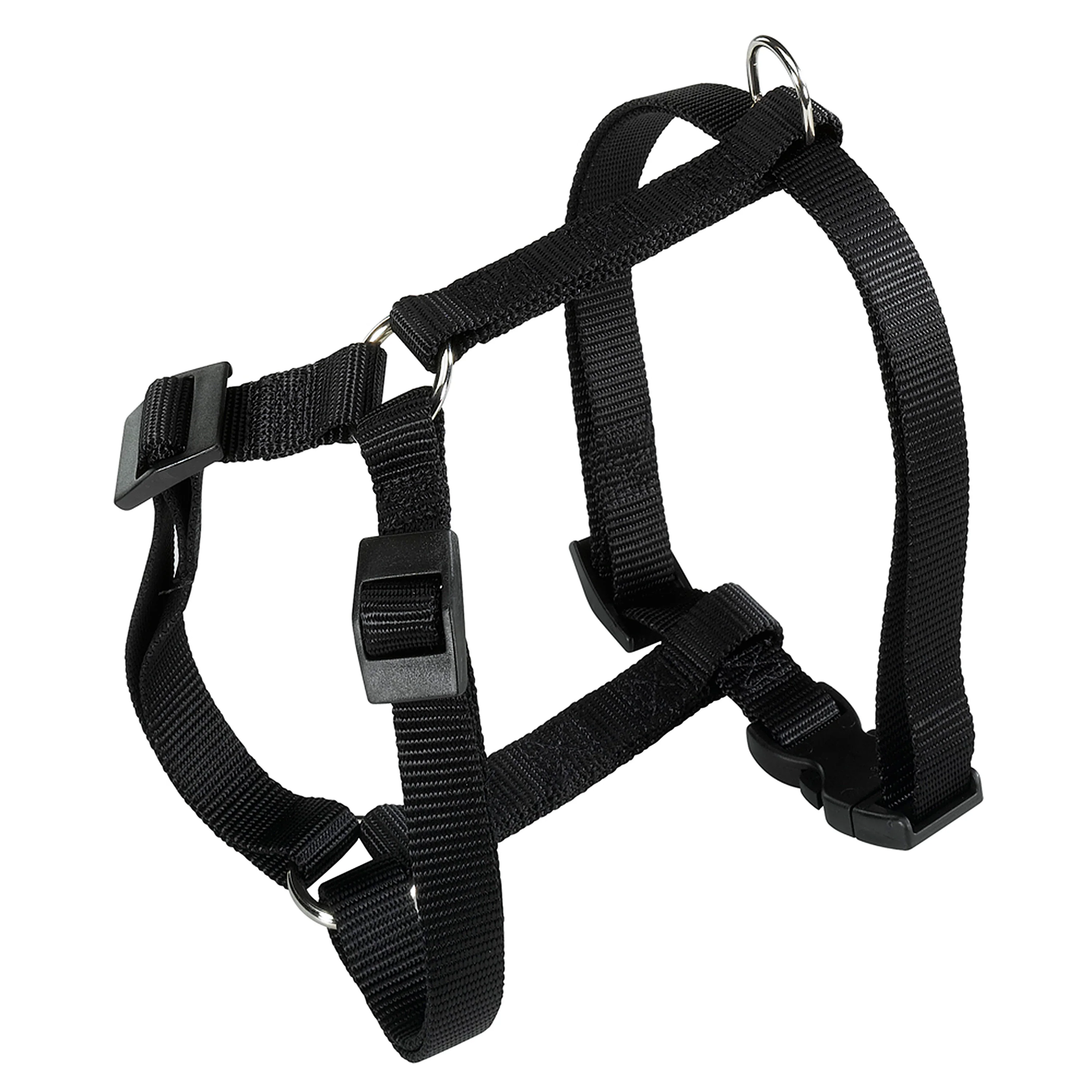 CHAMPION P - Image 16