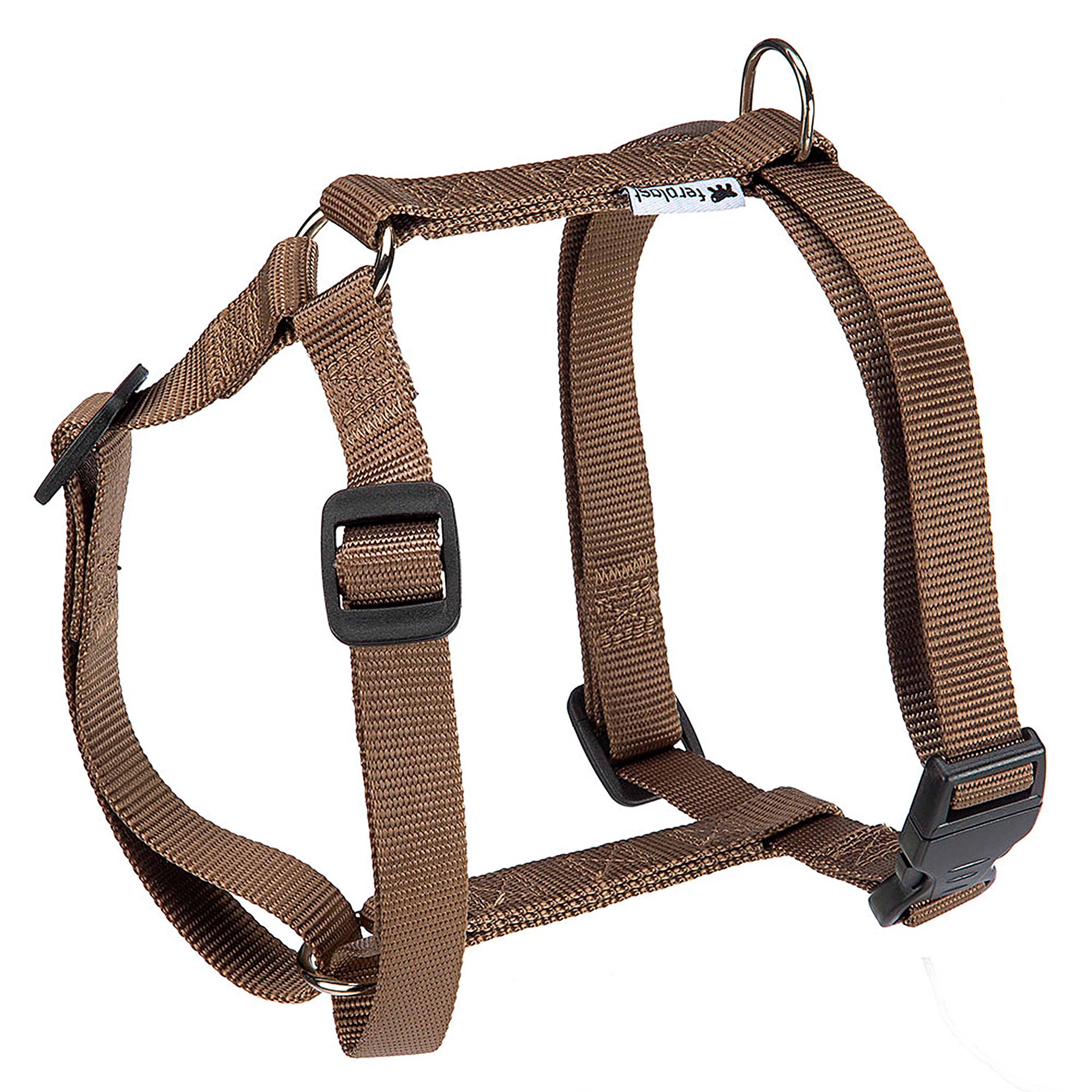 CHAMPION P - Image 25