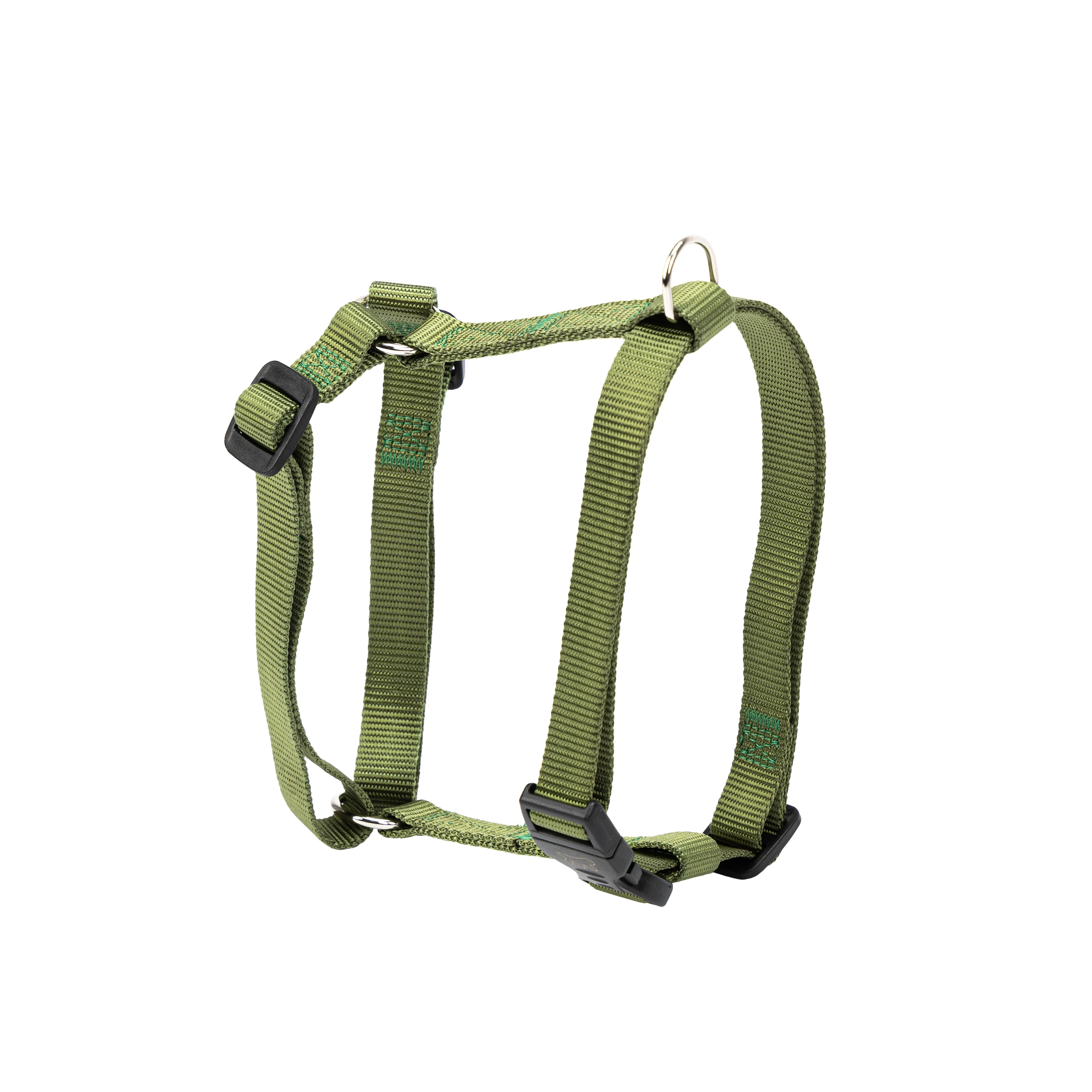 CHAMPION P - Image 3