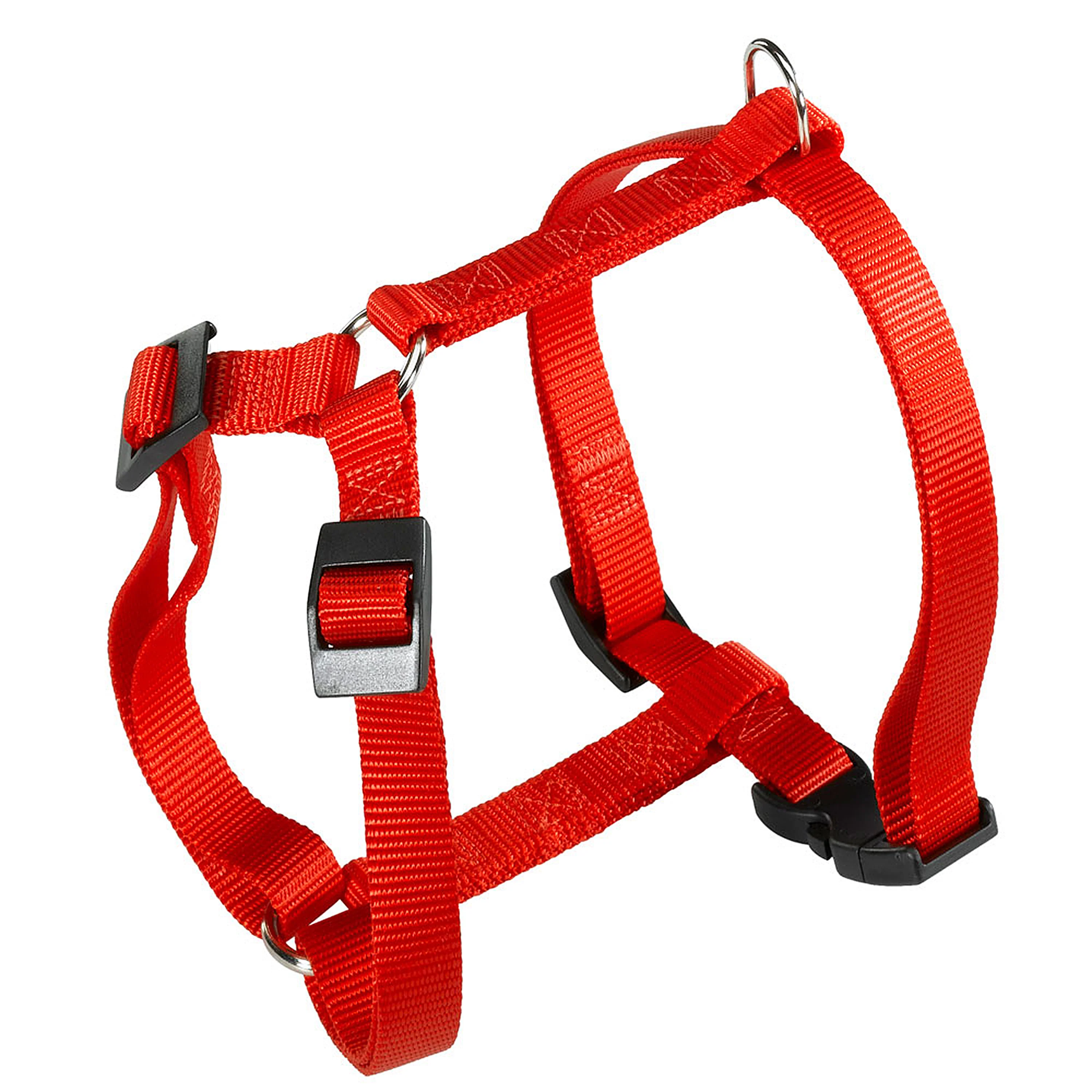 CHAMPION P - Image 4