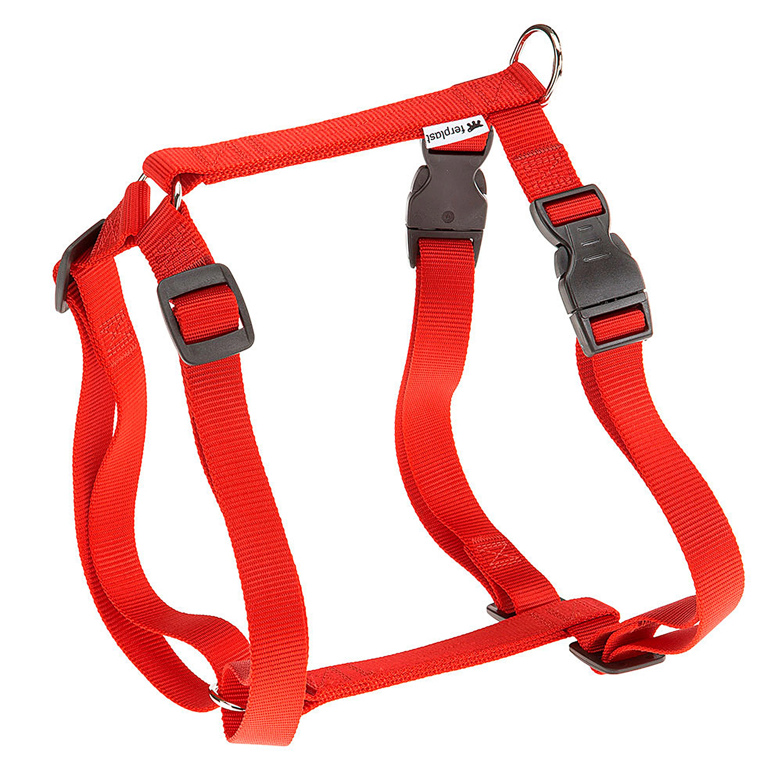 CHAMPION P - Image 8