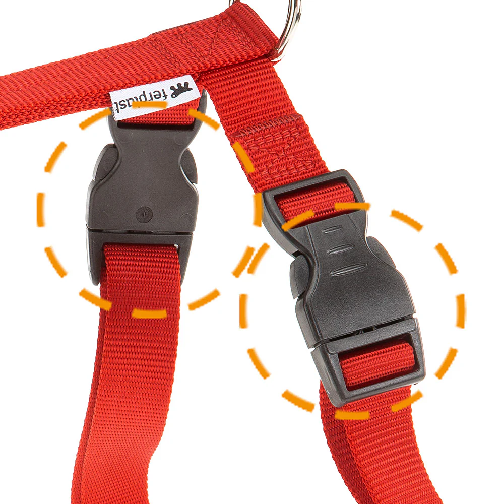 CHAMPION P - Image 9