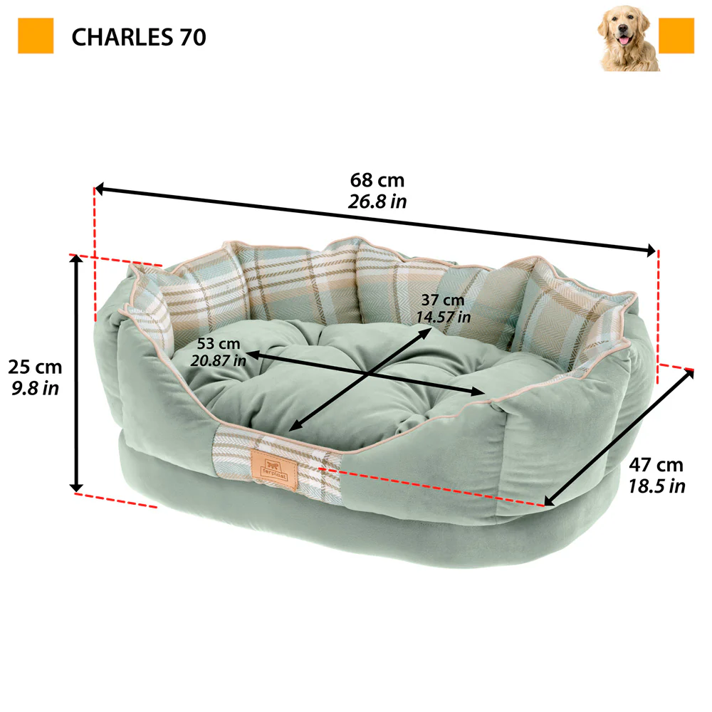 CHARLES - Image 7