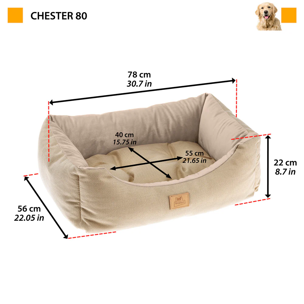 CHESTER - Image 12
