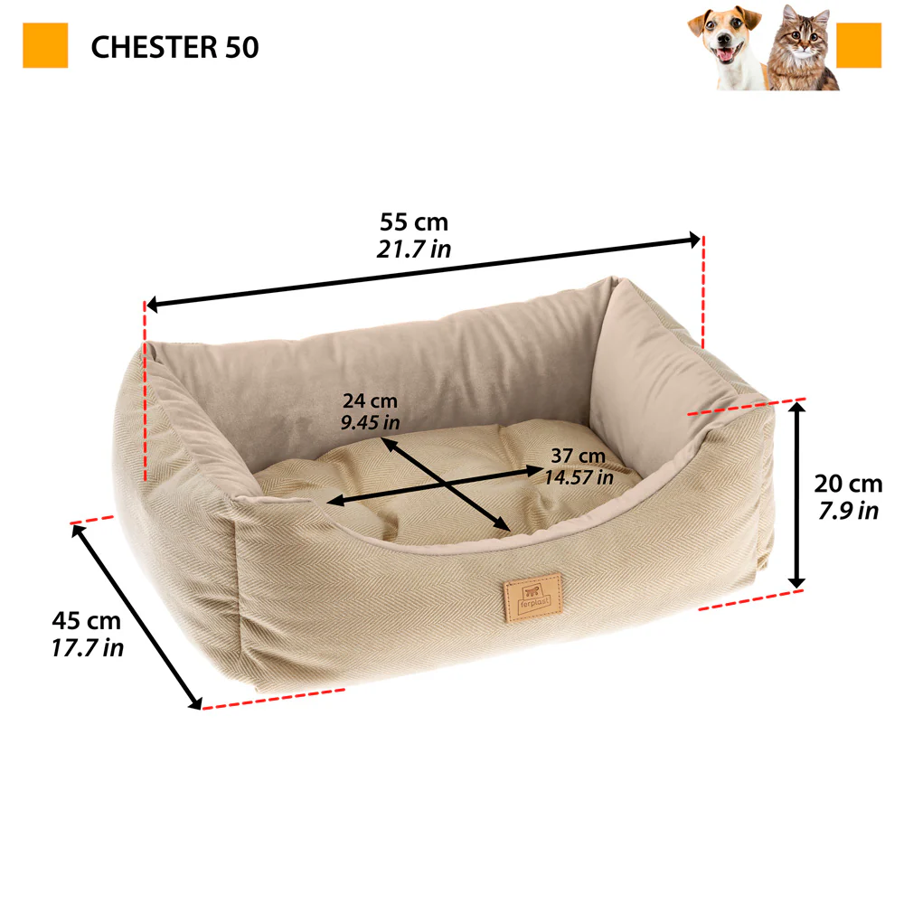 CHESTER - Image 2