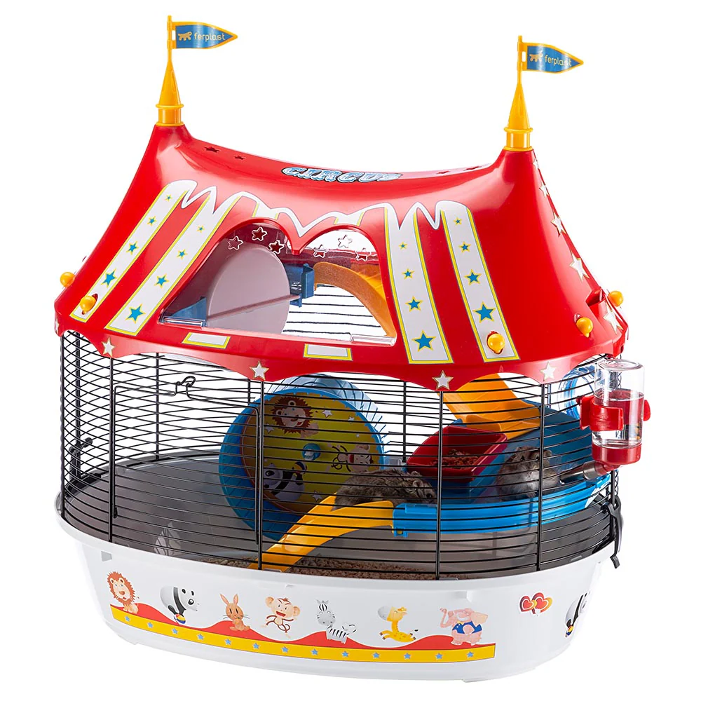 CIRCUS FUN - Image 4