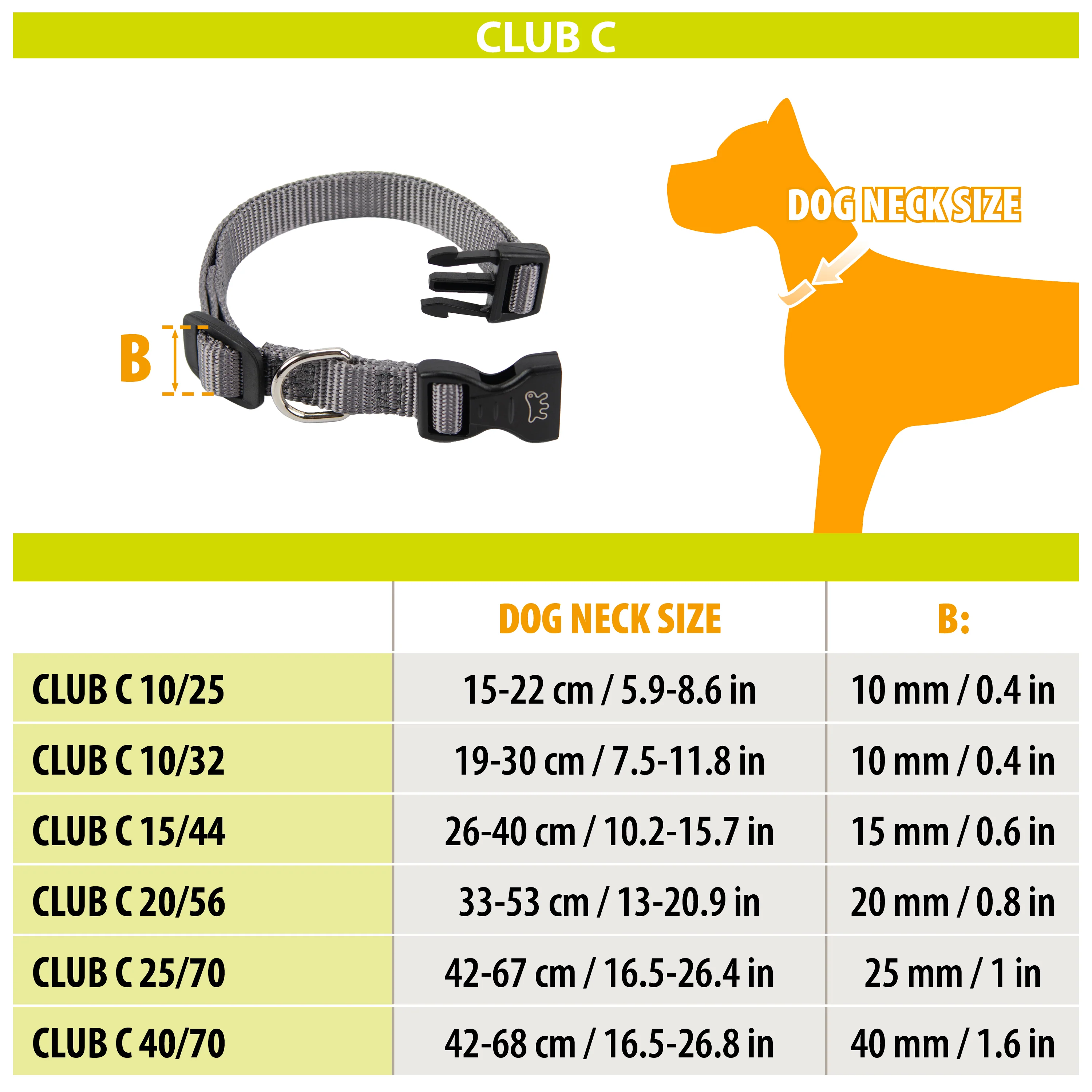 CLUB C - Image 5
