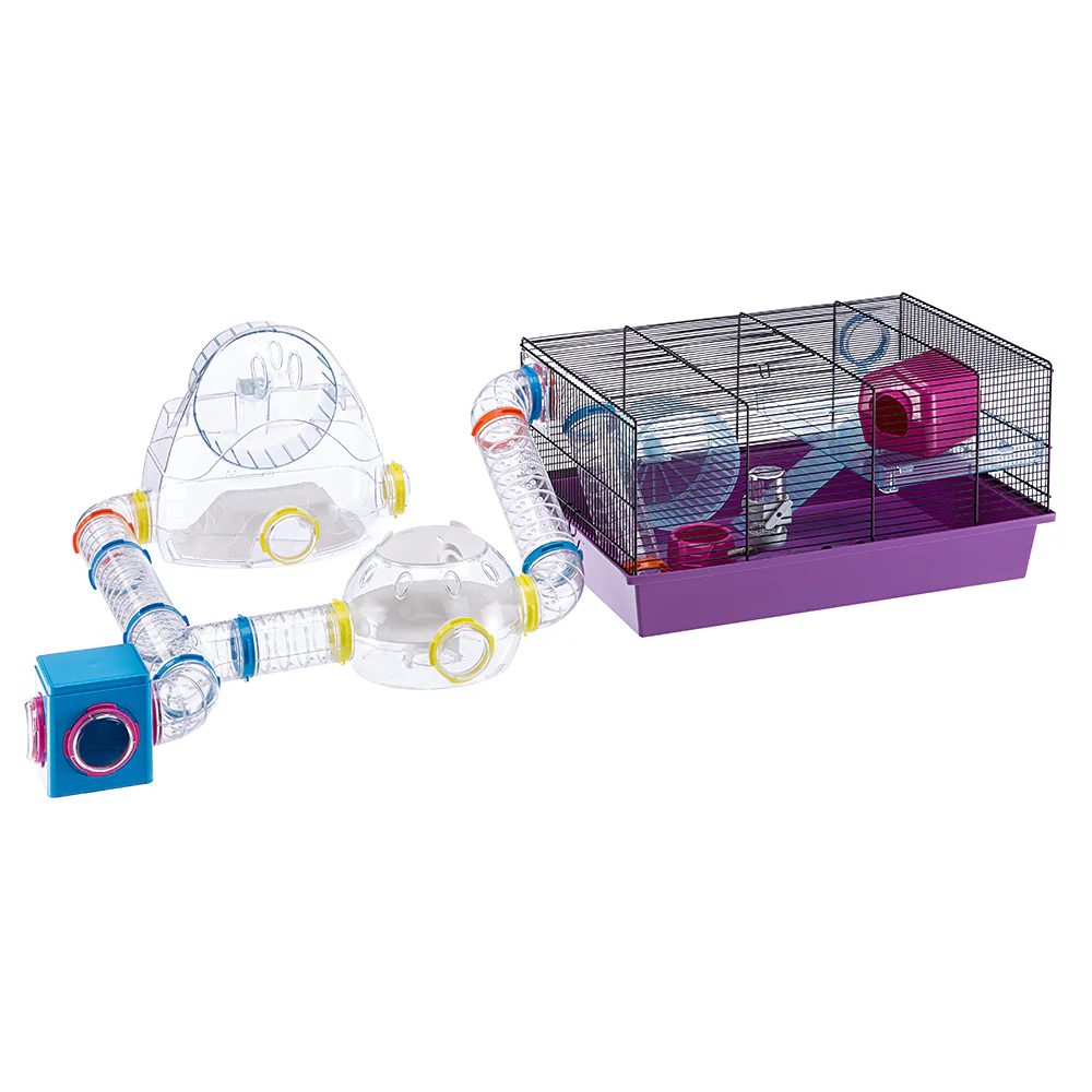CUBE - Image 2