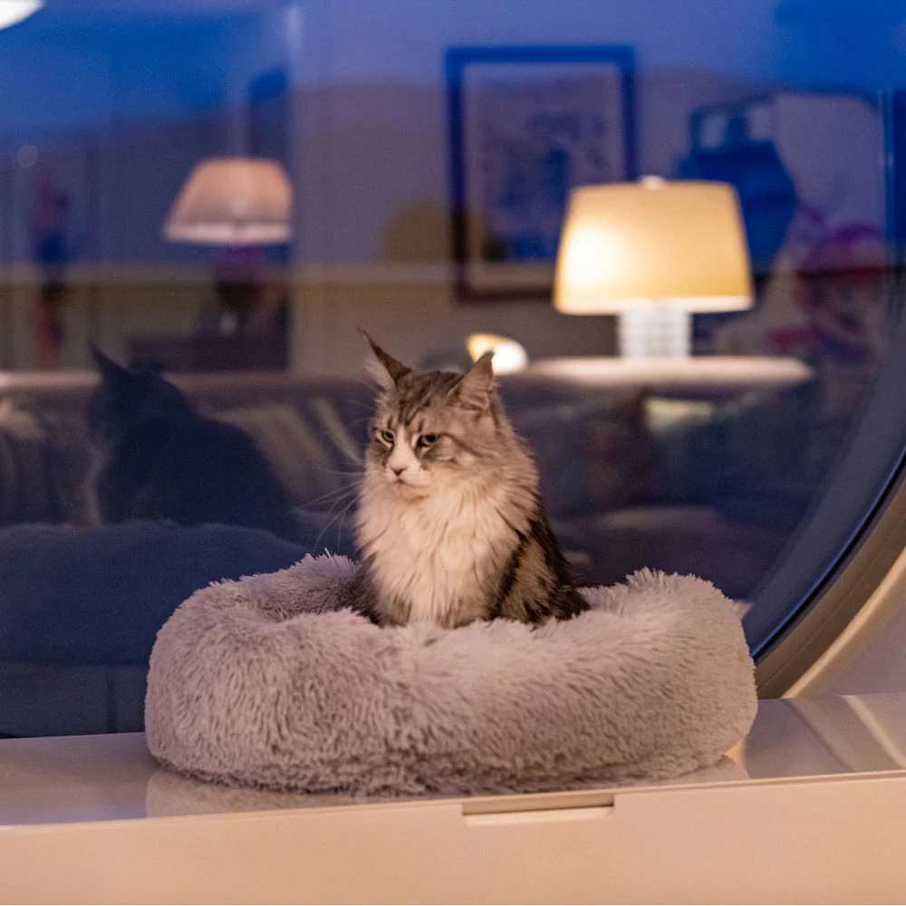 CUDDLY - Image 6