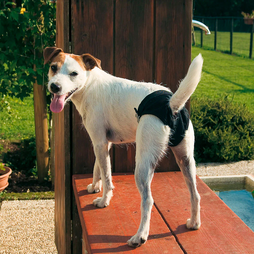 Hygienic pants - Image 2