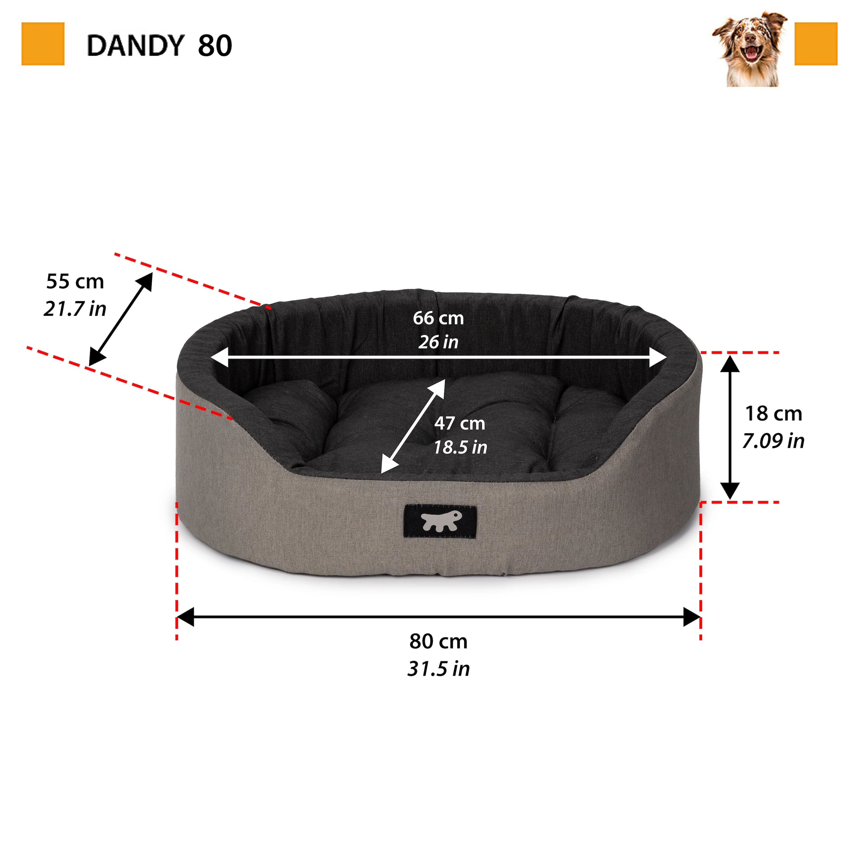 DANDY C COLOUR - Image 29