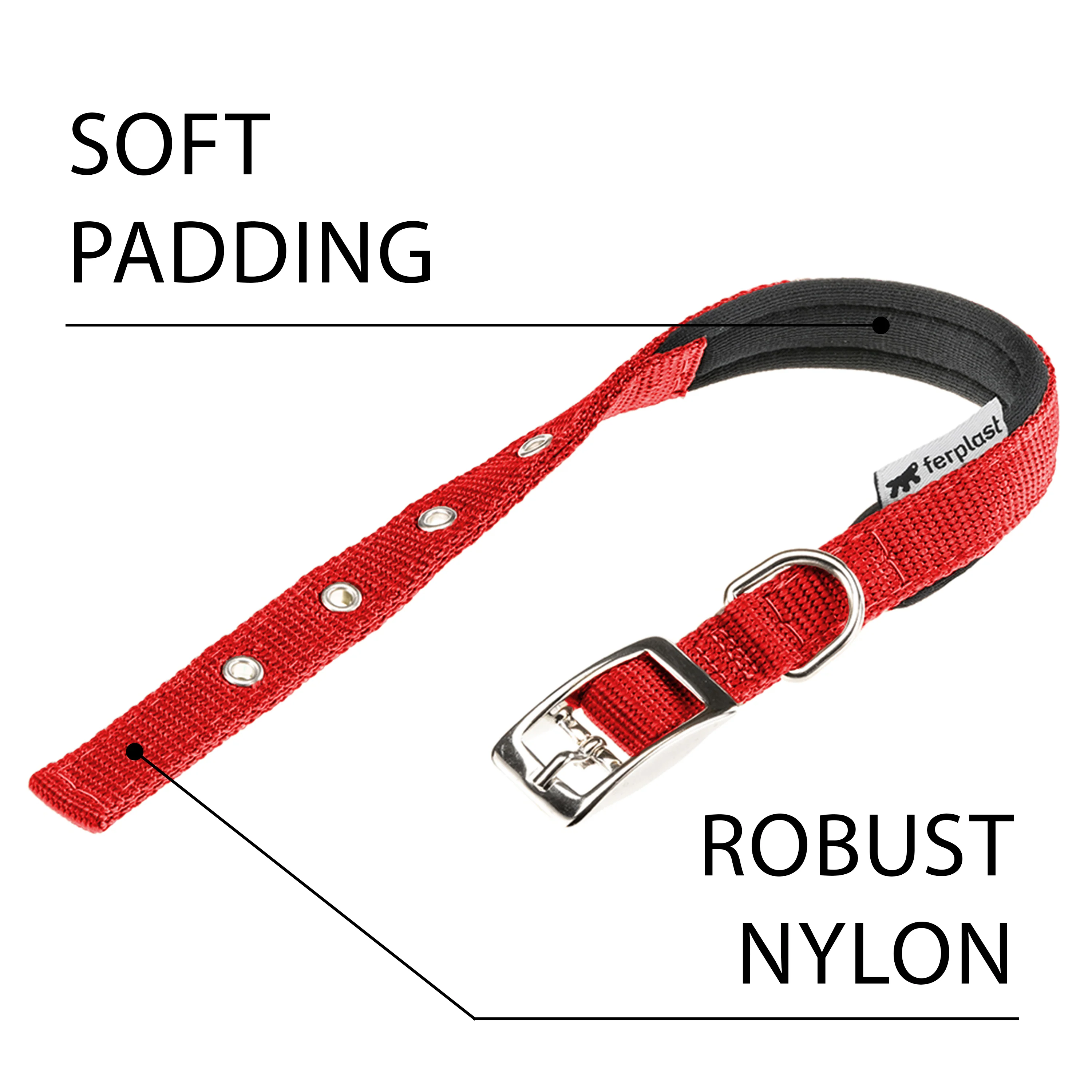 DAYTONA C - Image 29