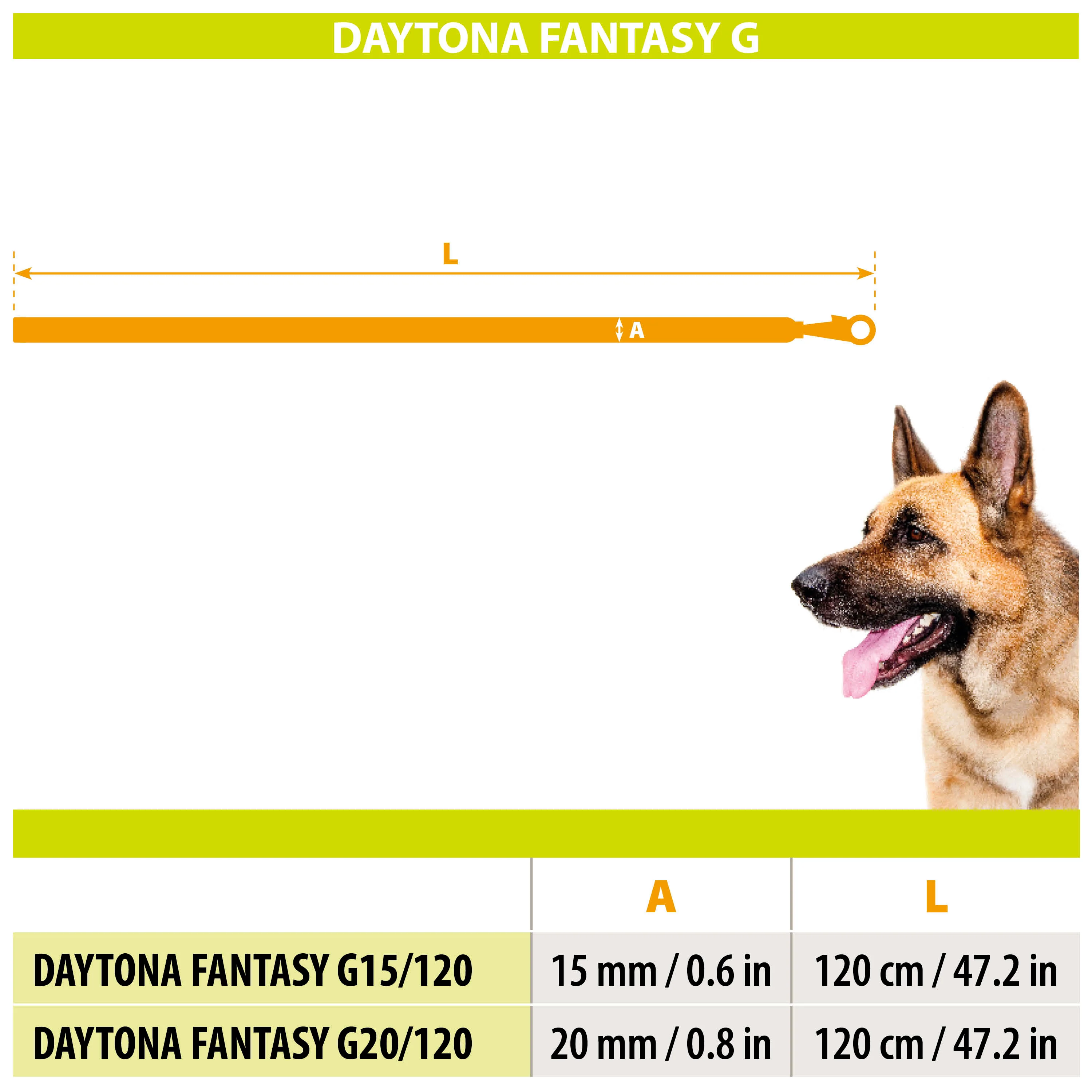 DAYTONA FANTASY G - Image 2