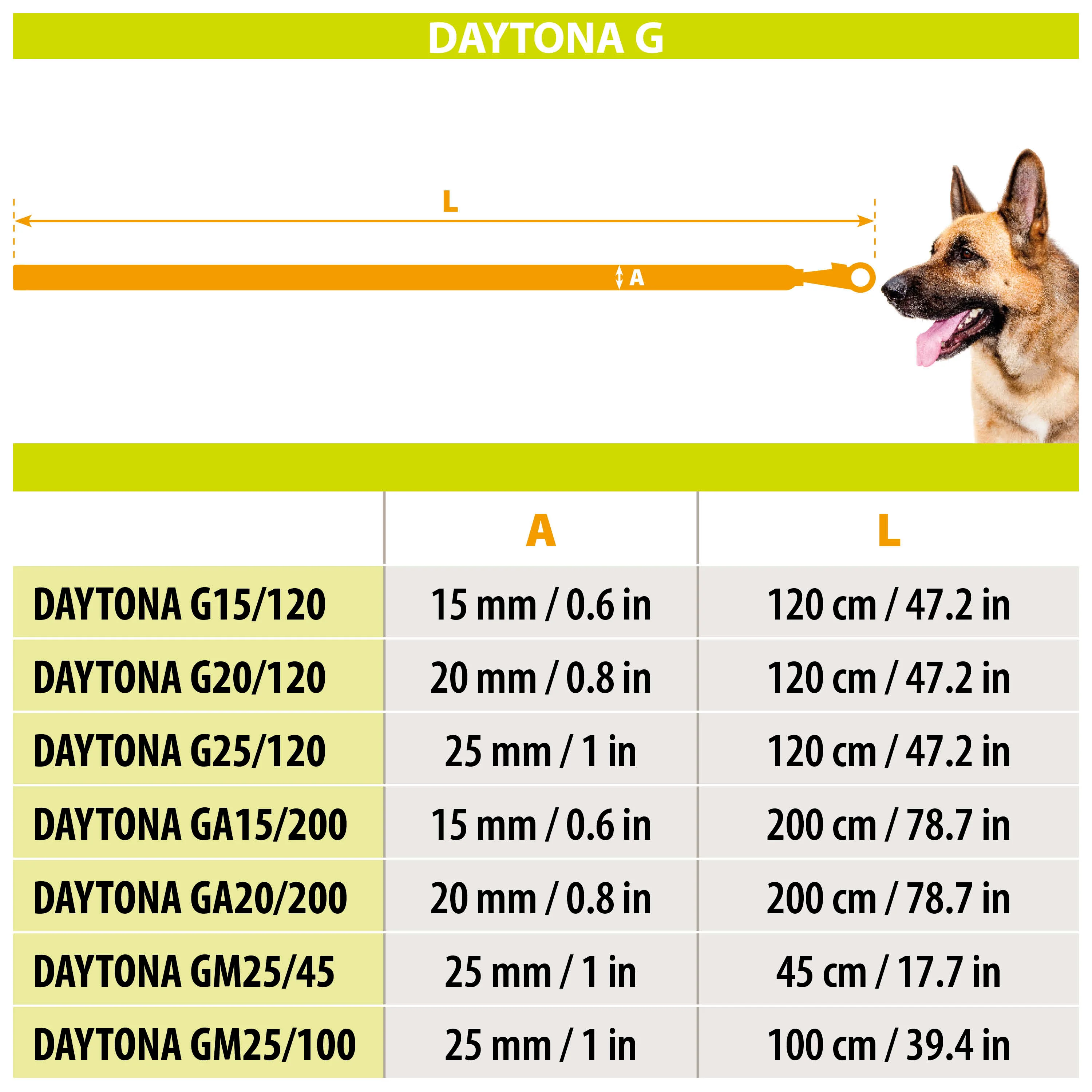 DAYTONA GM 25/45 - Image 2