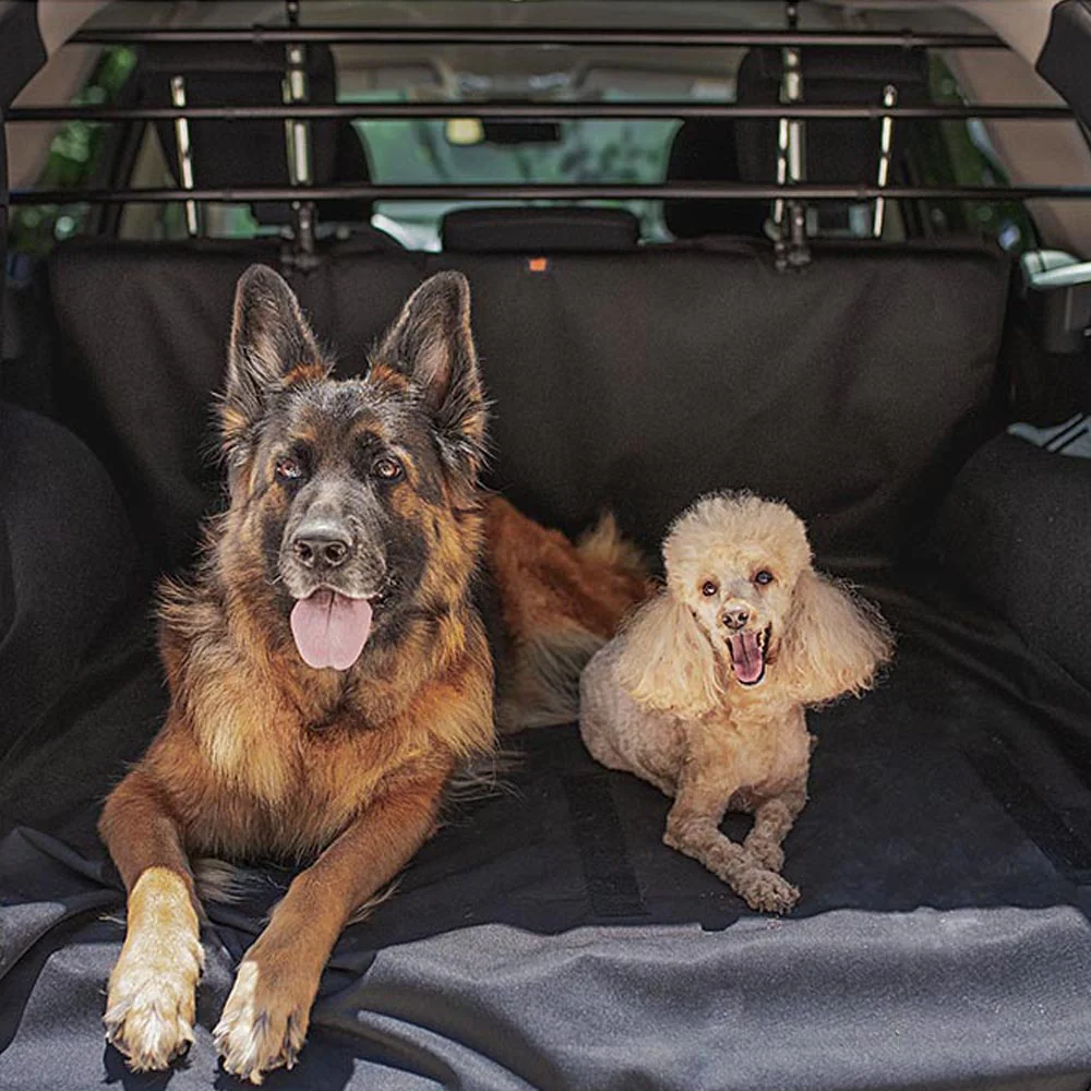 DOG CAR SECURITY - Image 4