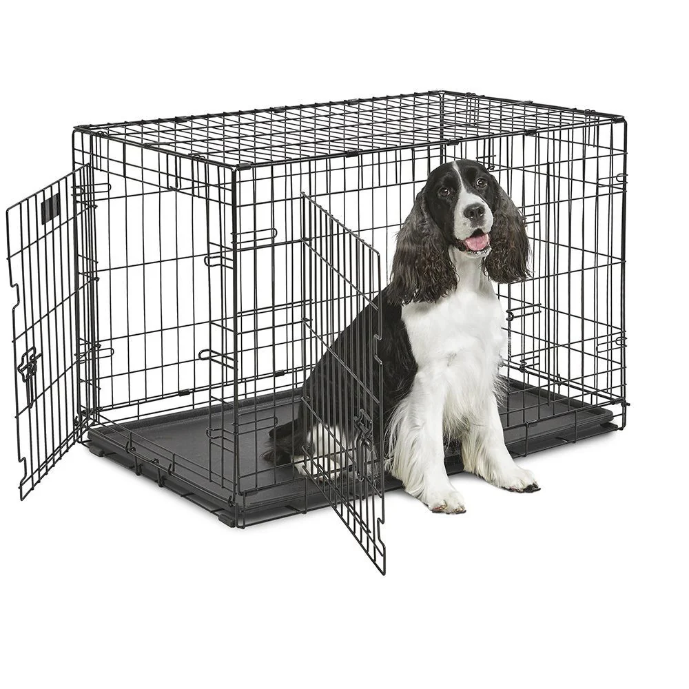 DOG-INN - Image 19