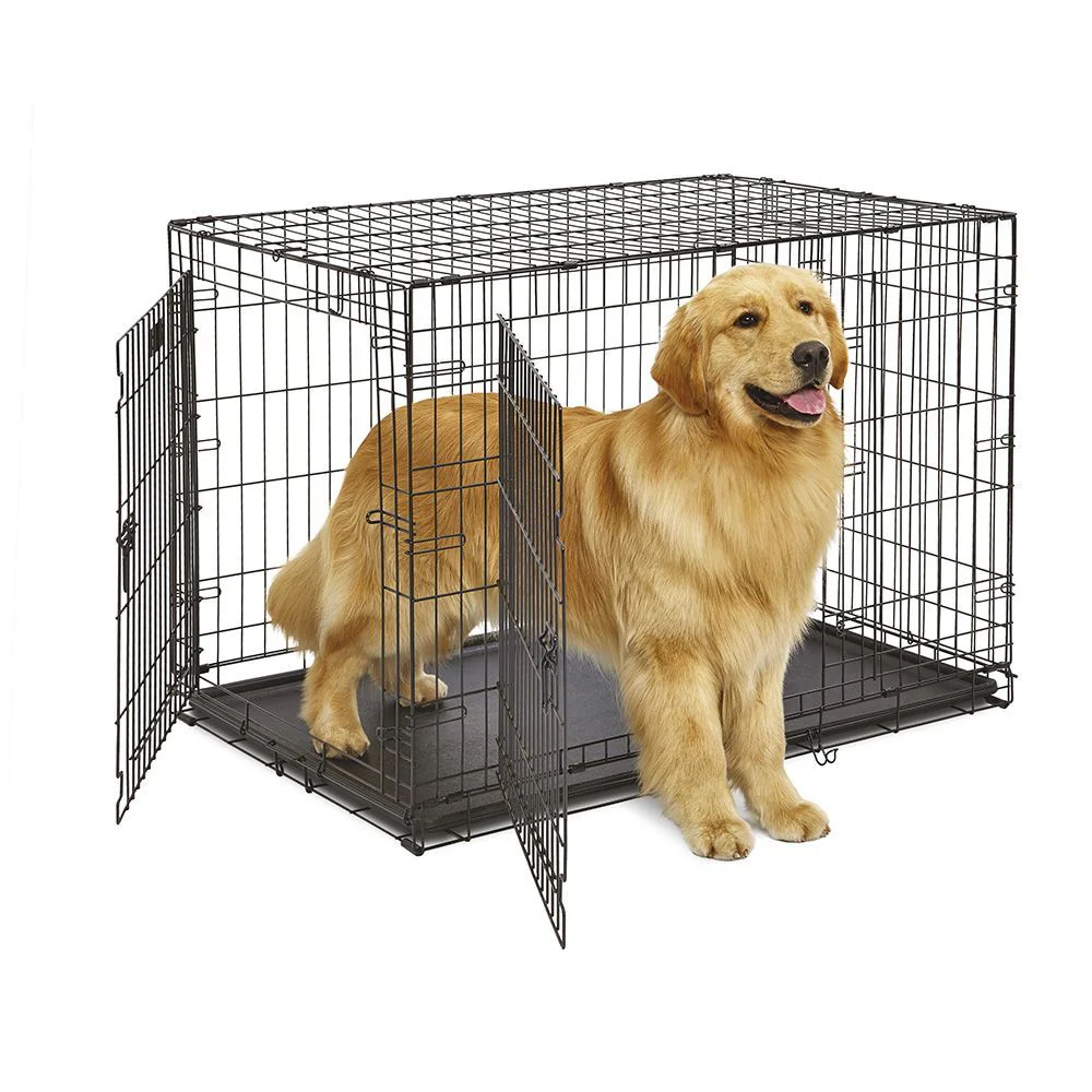 DOG-INN - Image 23