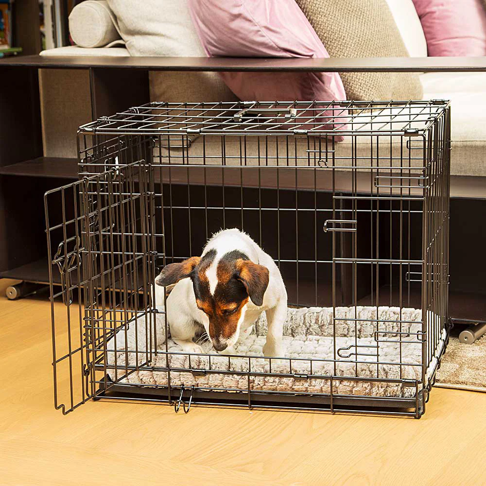 DOG-INN - Image 4