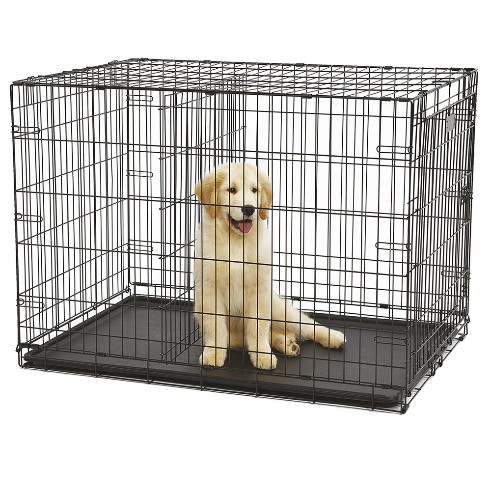 DOG-INN - Image 8