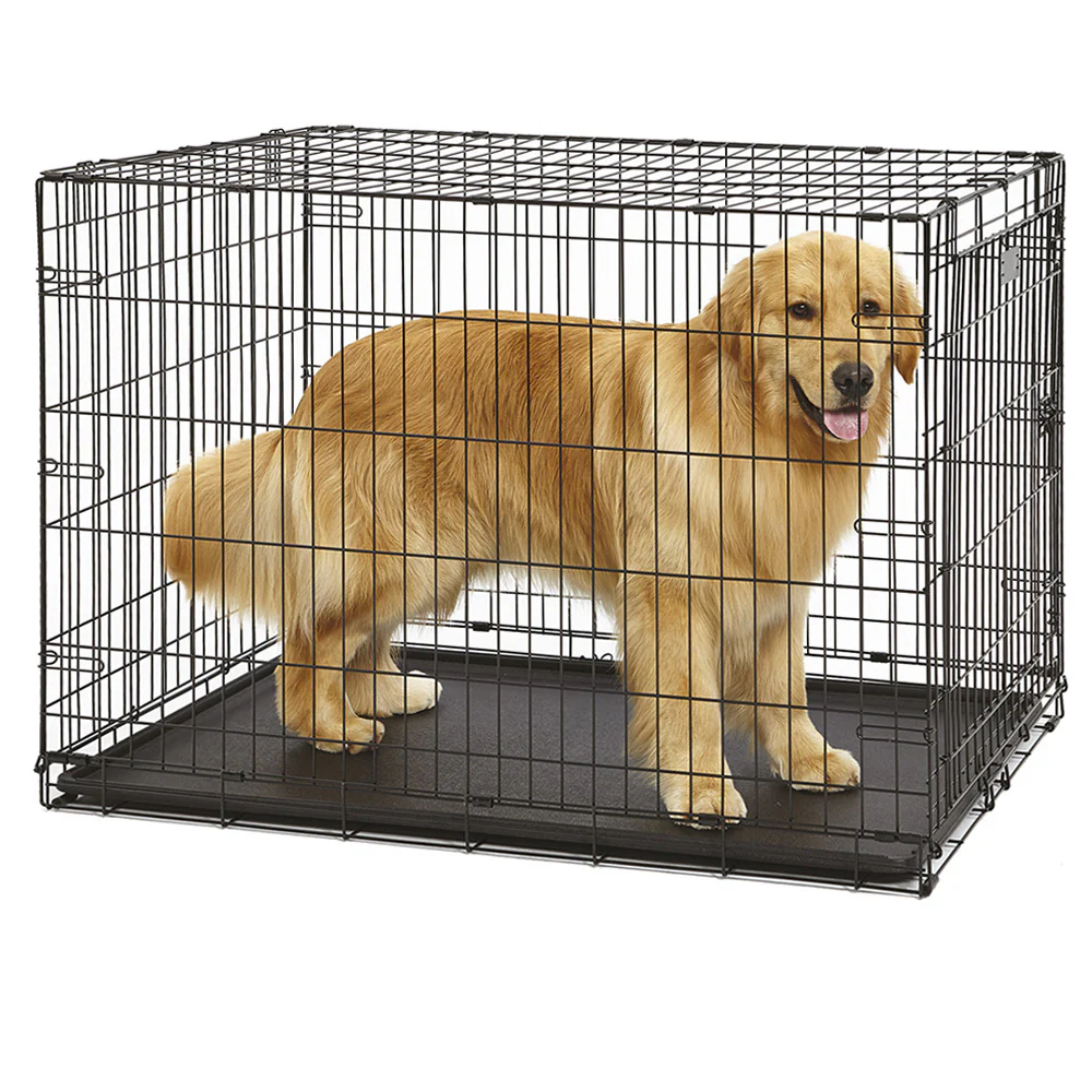DOG-INN - Image 9
