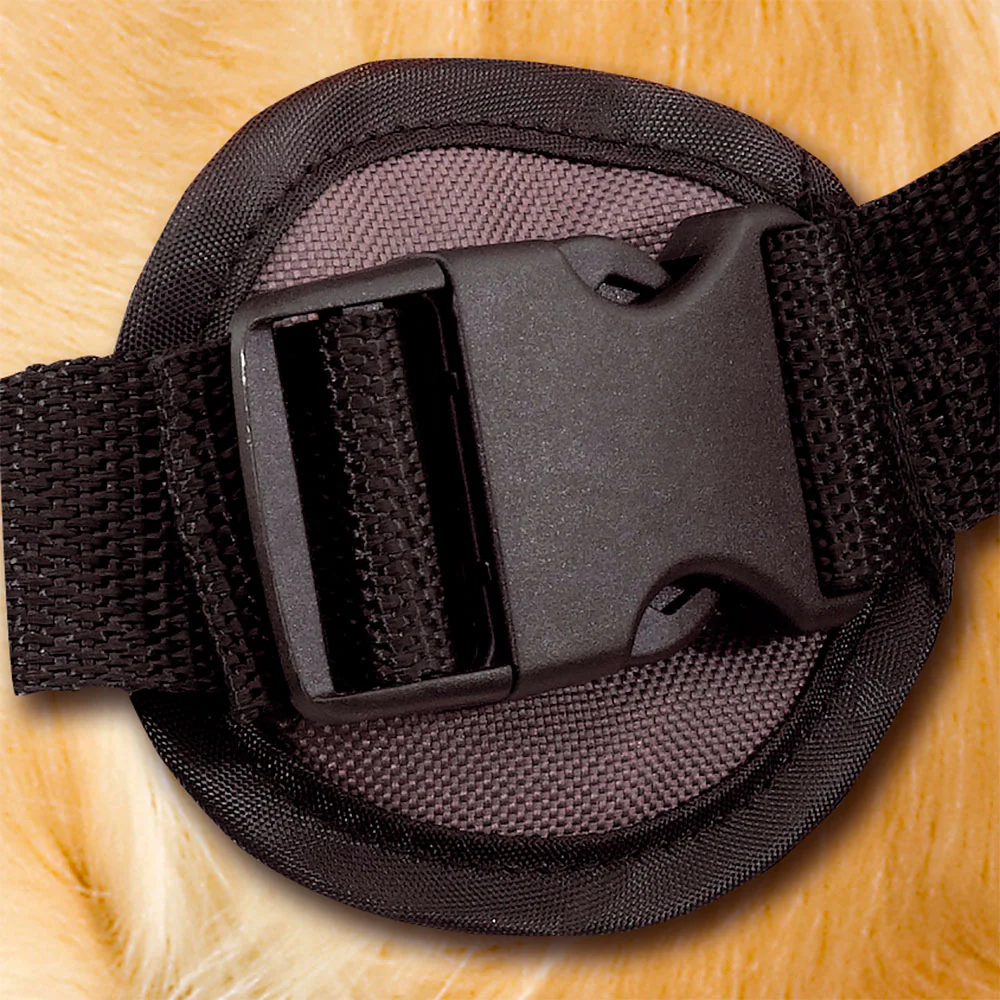 DOG SCOUT - Image 3