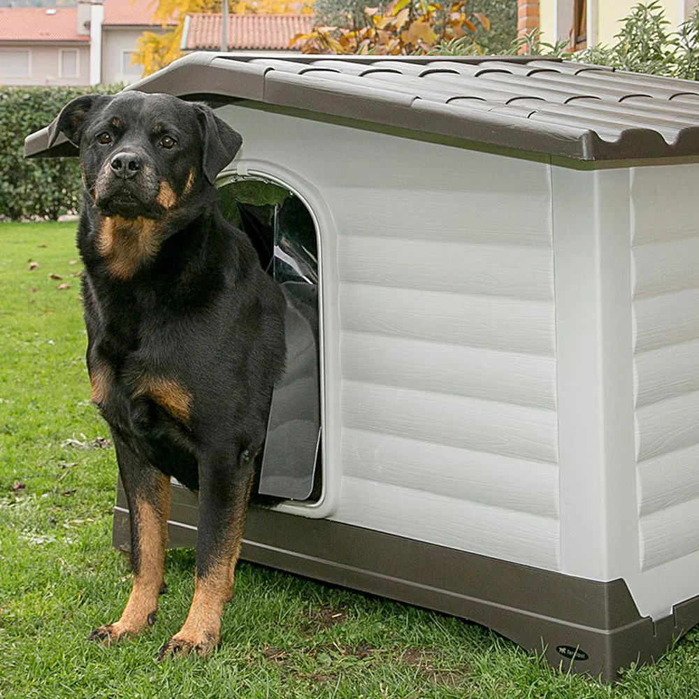 DOGVILLA DOOR - Image 3