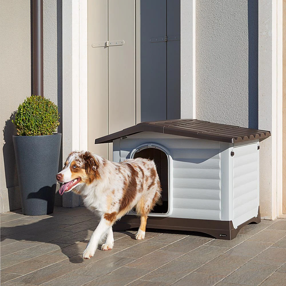 DOGVILLA - Image 17