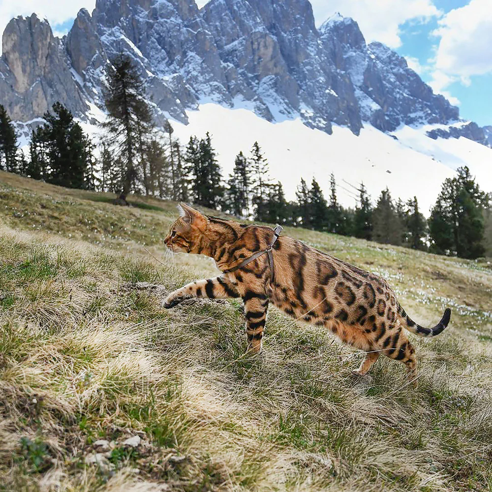 EASY P - Image 22