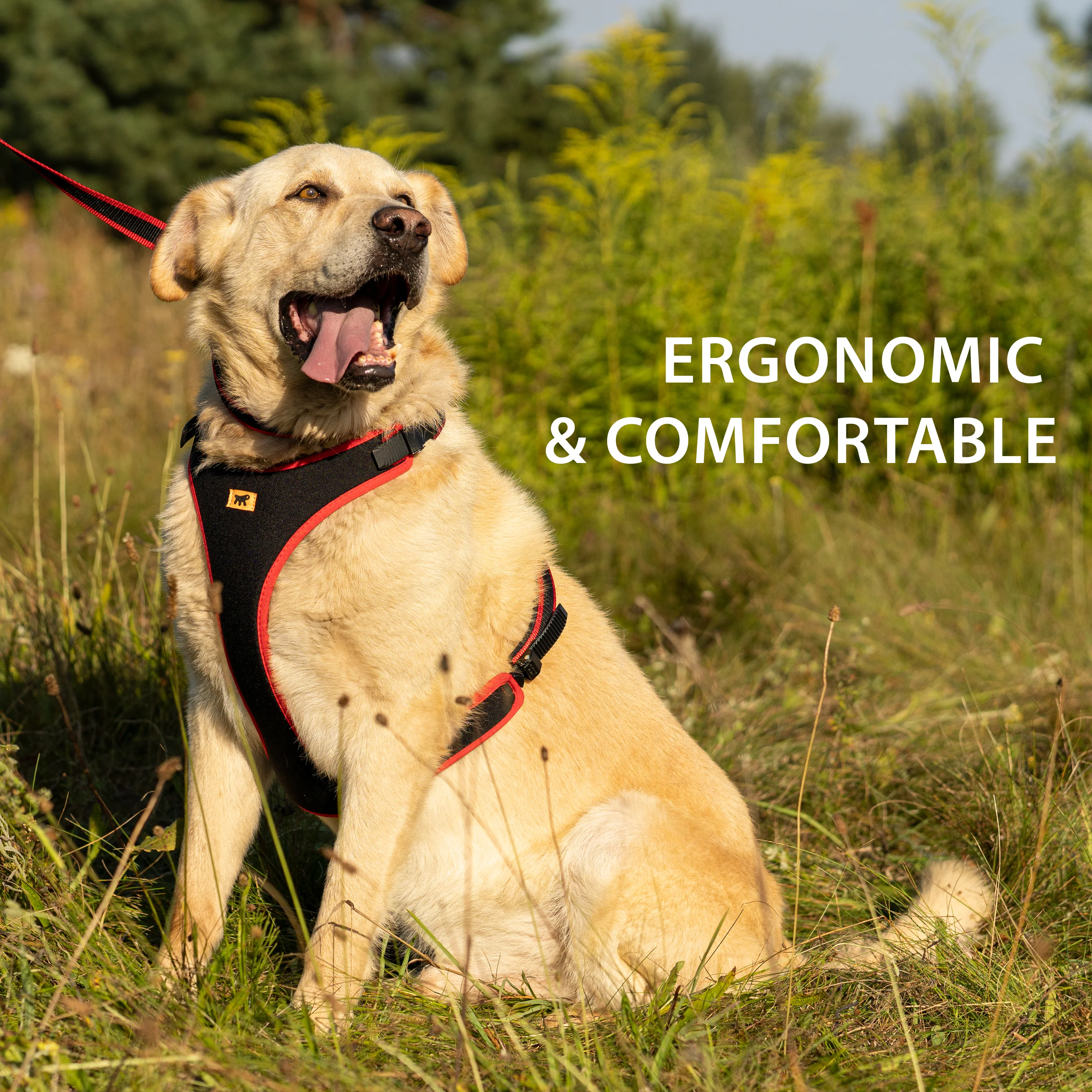 ERGOCOMFORT P - Image 29