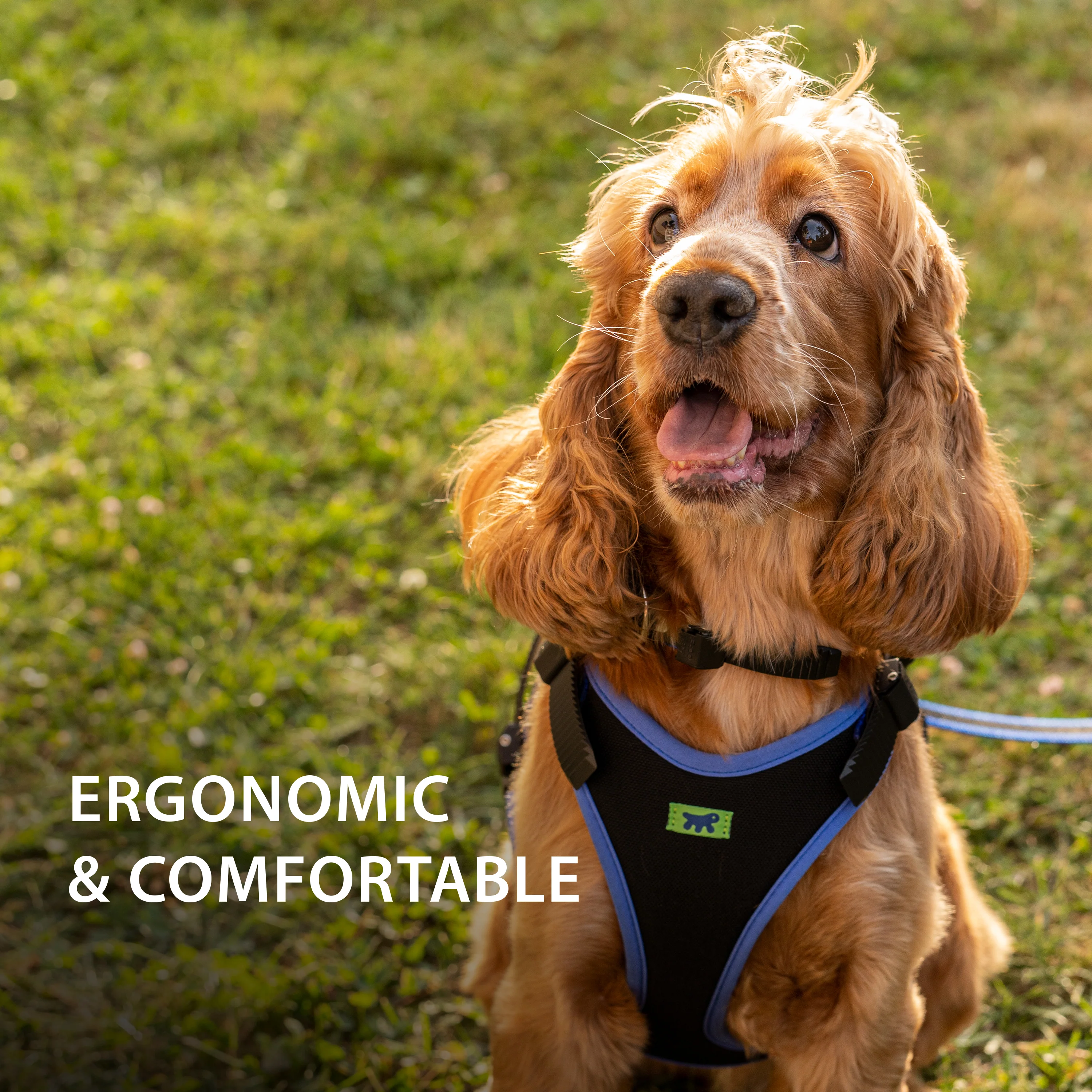 ERGOCOMFORT P - Image 32