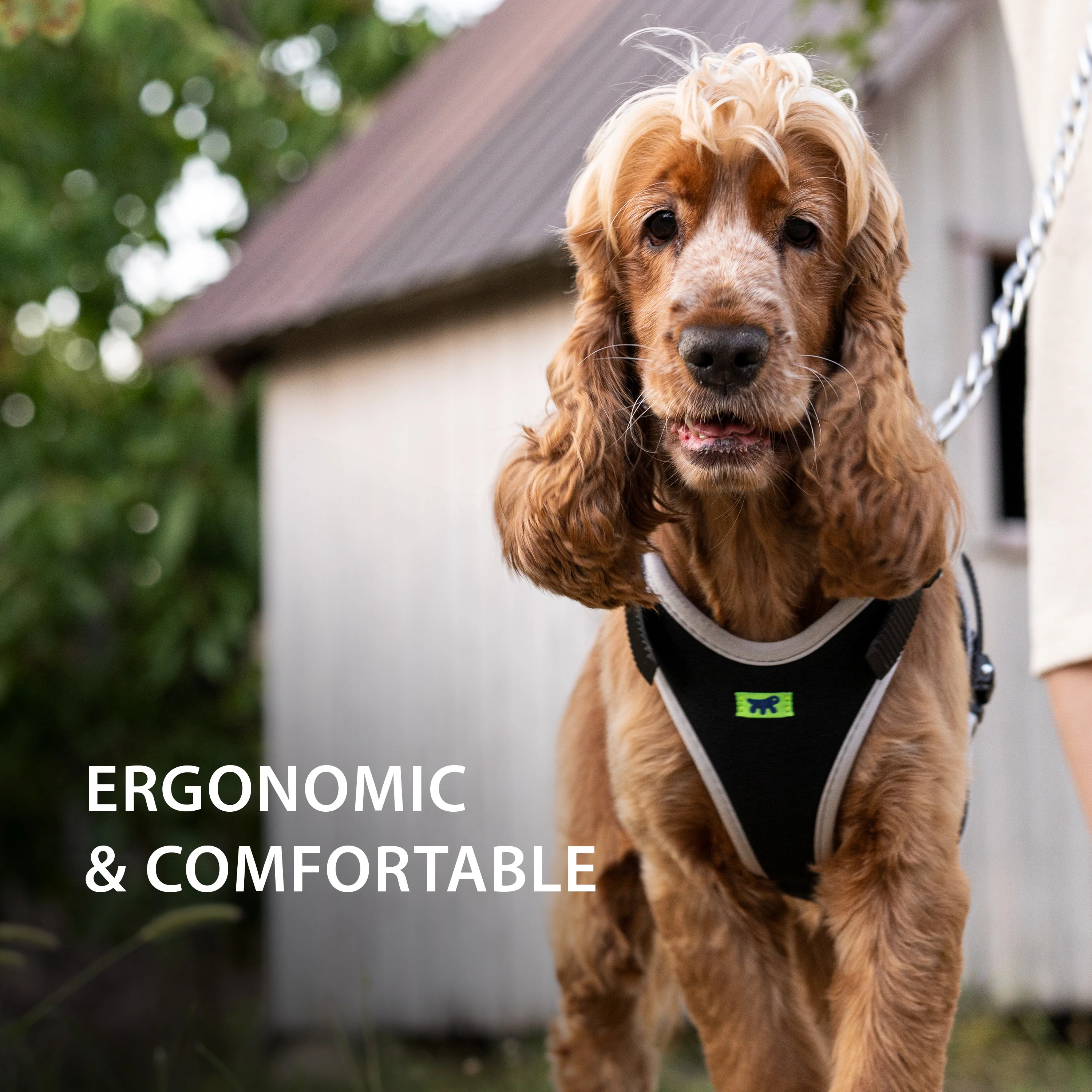 ERGOCOMFORT P - Image 6