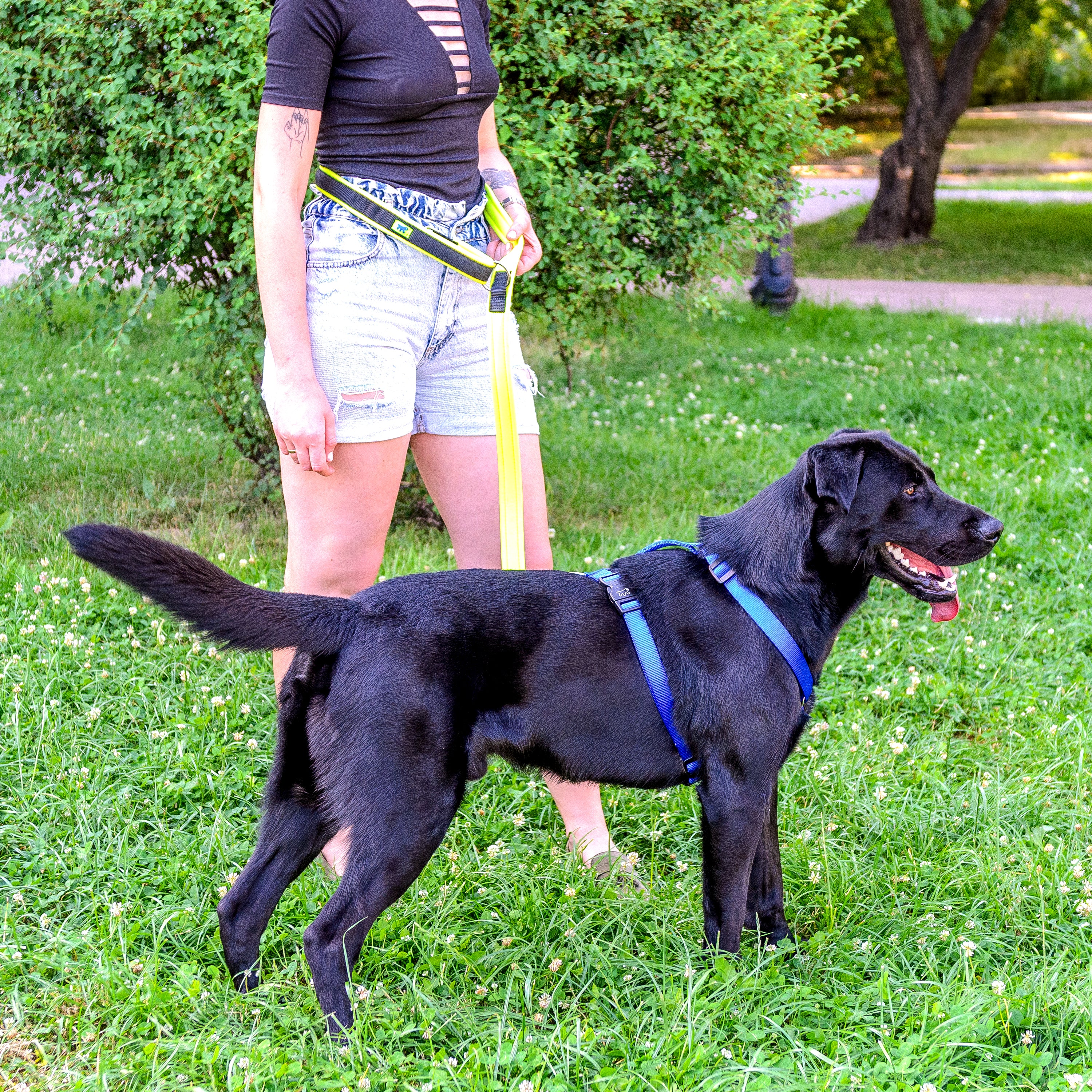 ERGOFLUO GA - Image 18