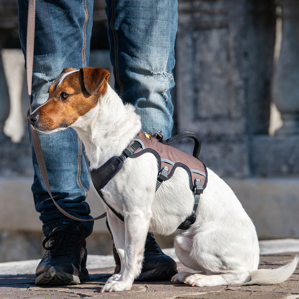 ERGOTREKKING - Image 10