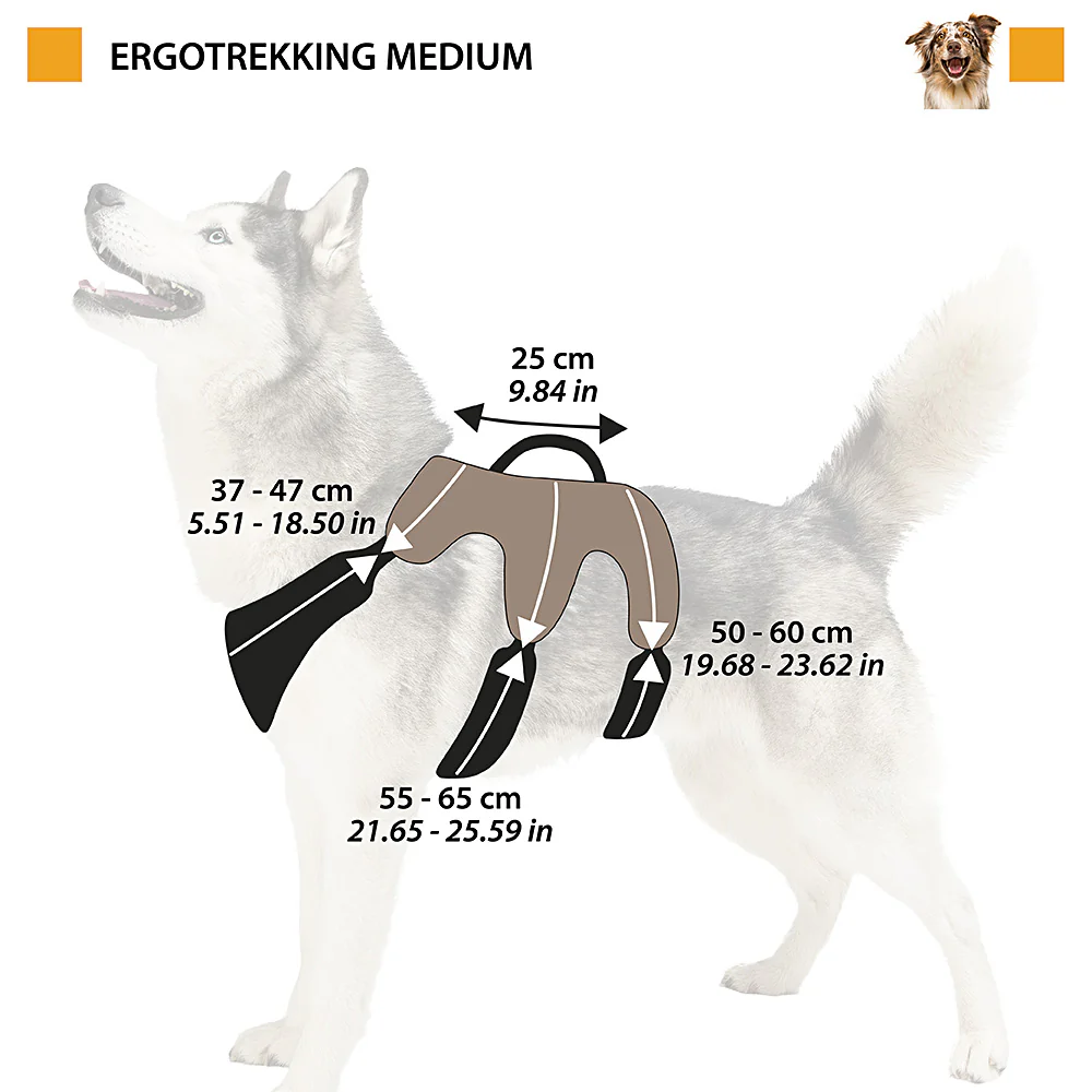 ERGOTREKKING - Image 18