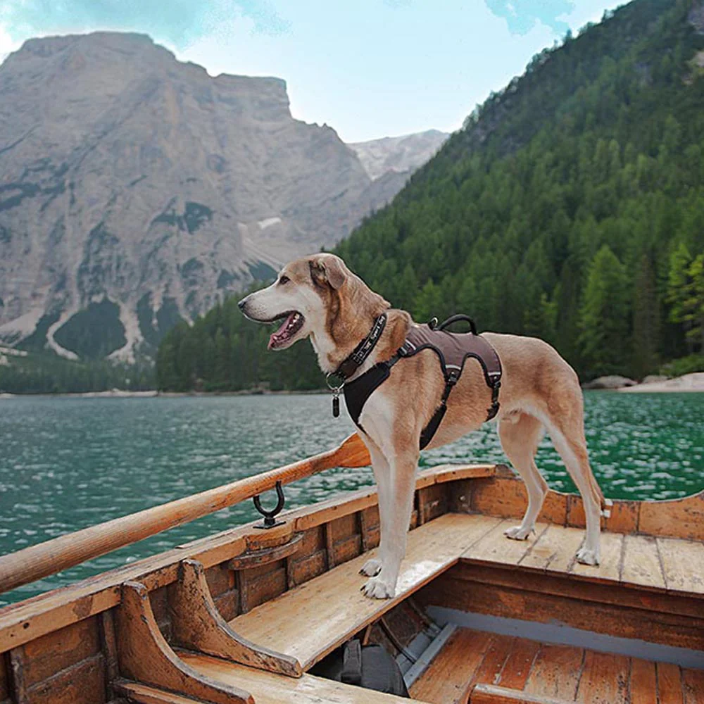 ERGOTREKKING - Image 19