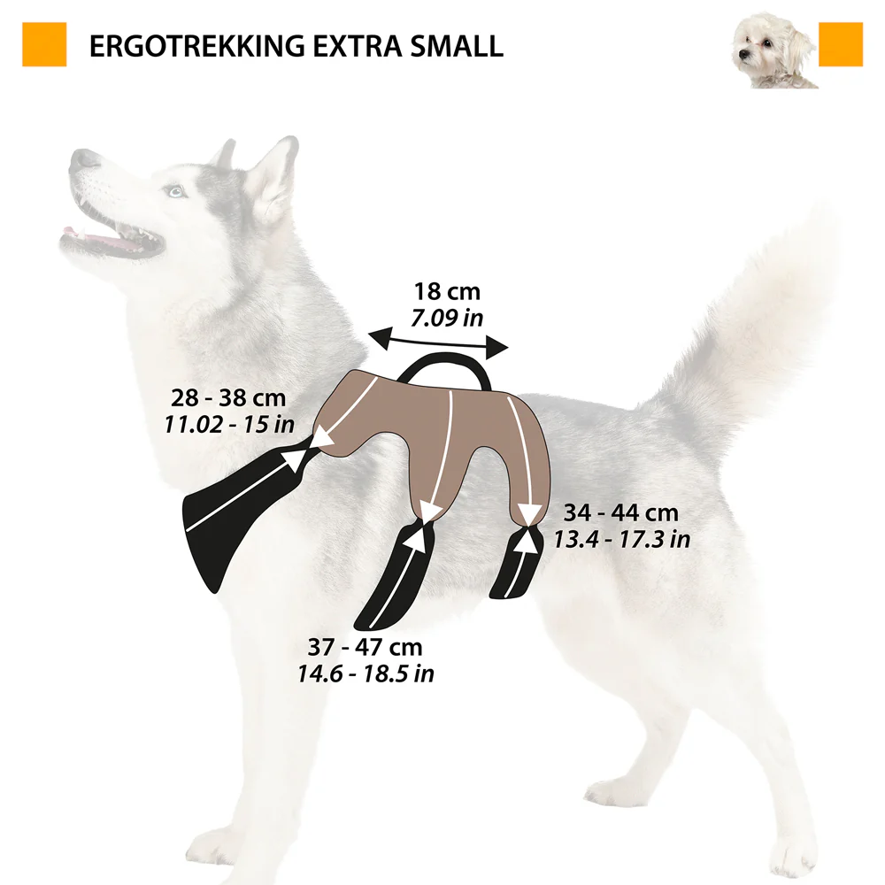 ERGOTREKKING - Image 2