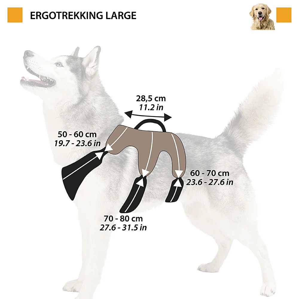 ERGOTREKKING - Image 27