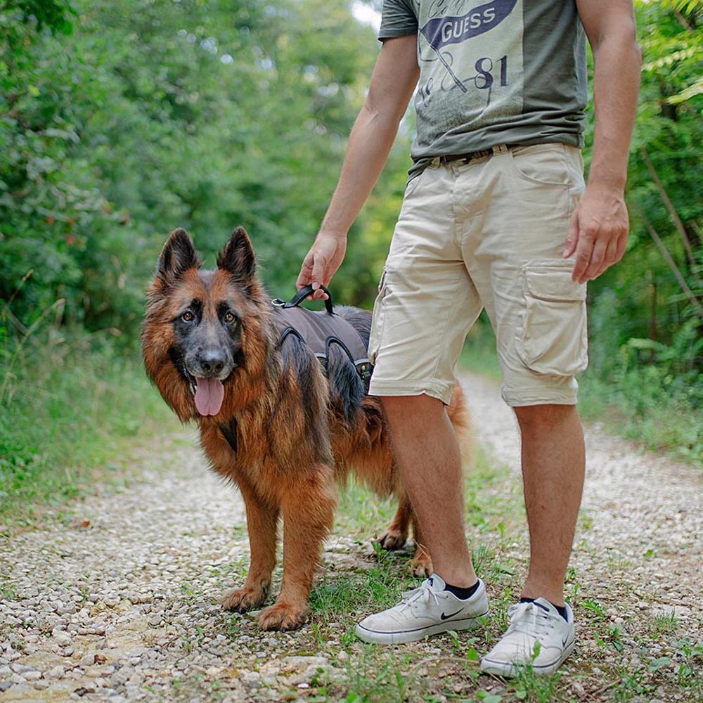 ERGOTREKKING - Image 28